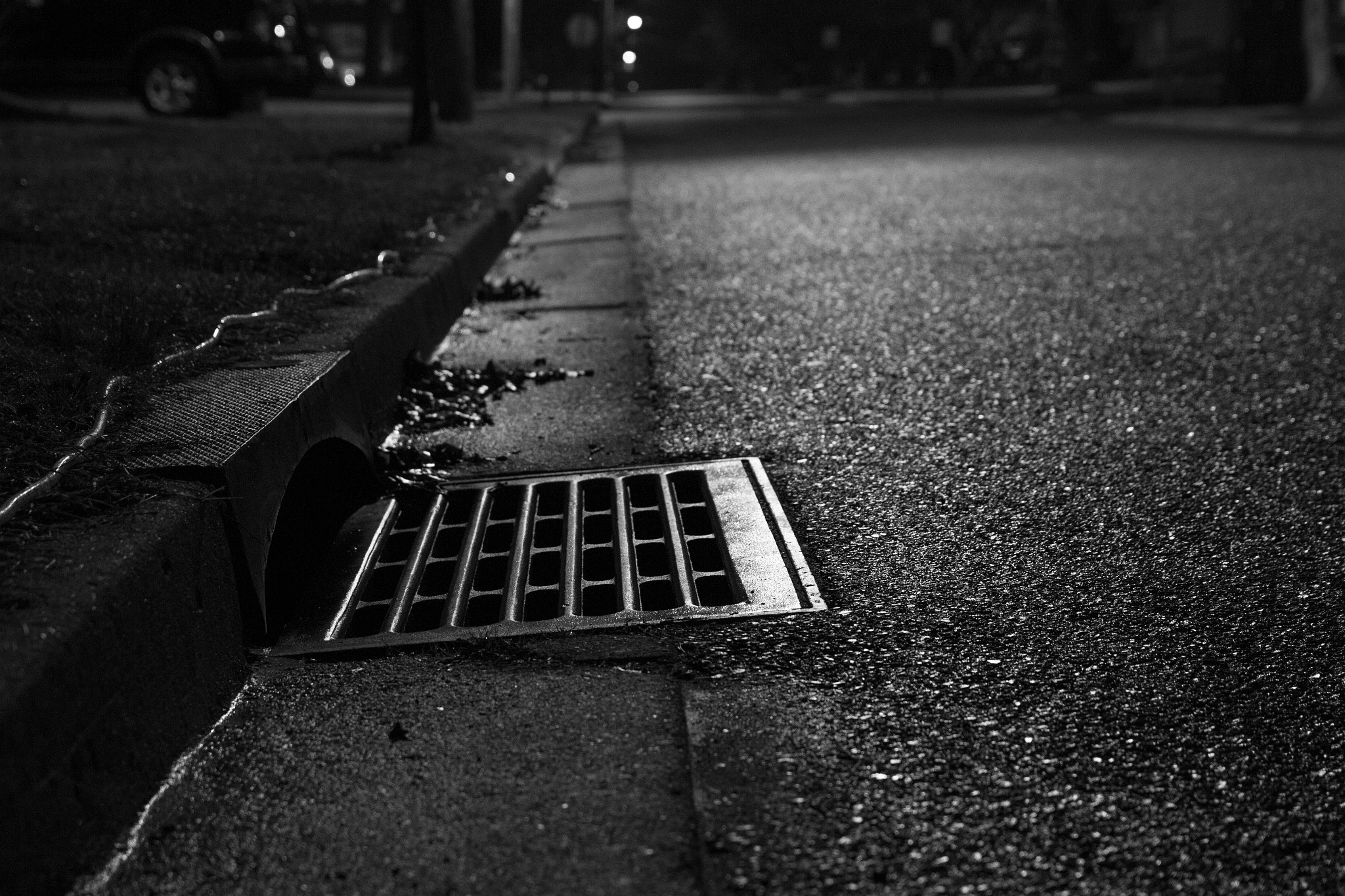Canon EOS 650D (EOS Rebel T4i / EOS Kiss X6i) sample photo. Draining in the storm: day 20/365 photography