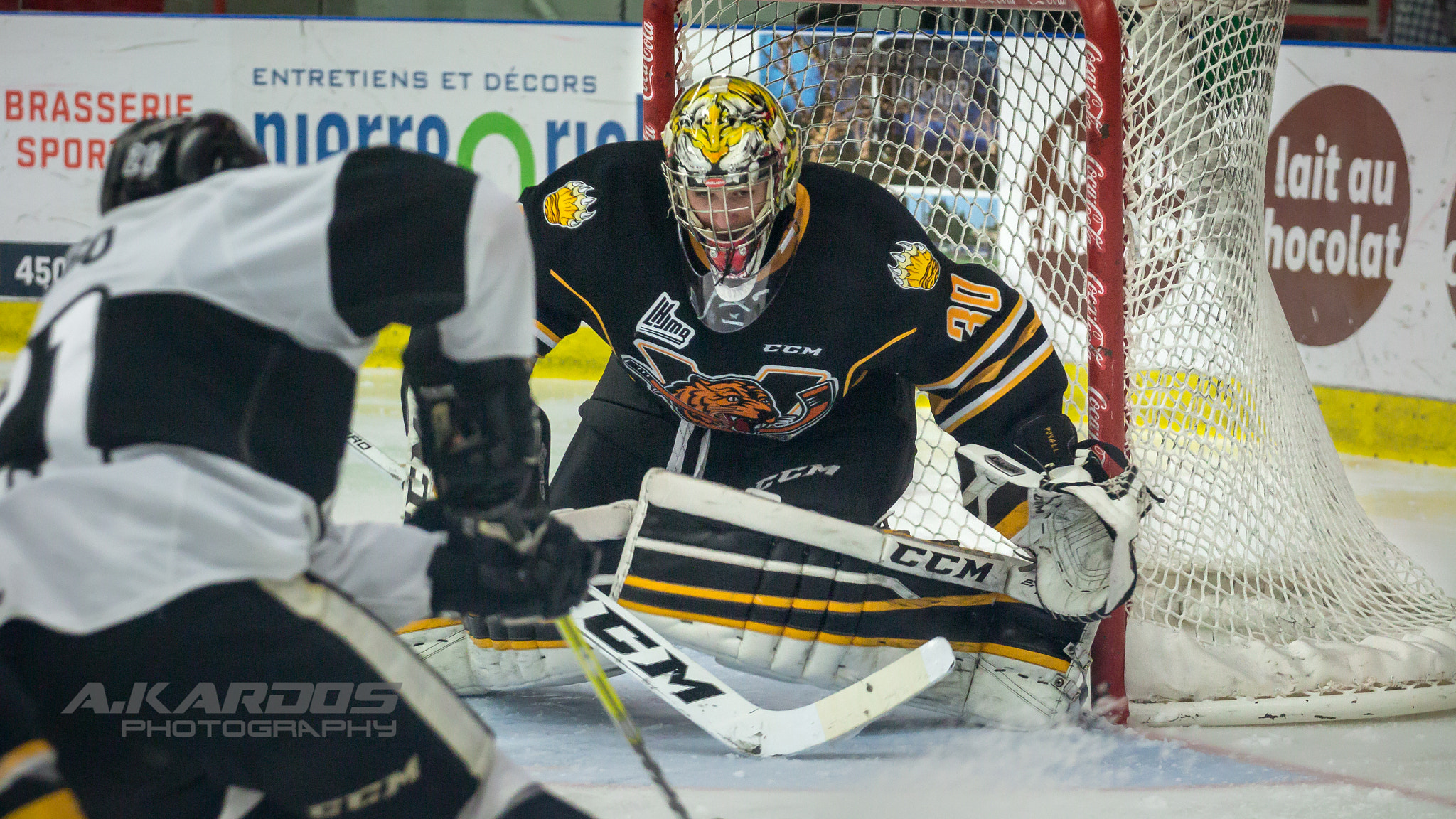 Canon EOS 700D (EOS Rebel T5i / EOS Kiss X7i) + Canon EF 70-200mm F4L USM sample photo. James povall #30 (victoriaville, tigres) photography