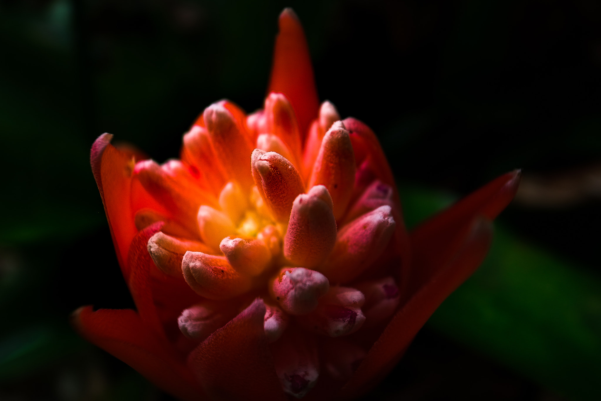 RICOH GR LENS sample photo. Afterglow photography