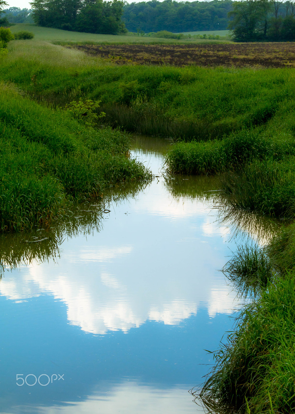 EF75-300mm f/4-5.6 sample photo. Clouds in the water photography
