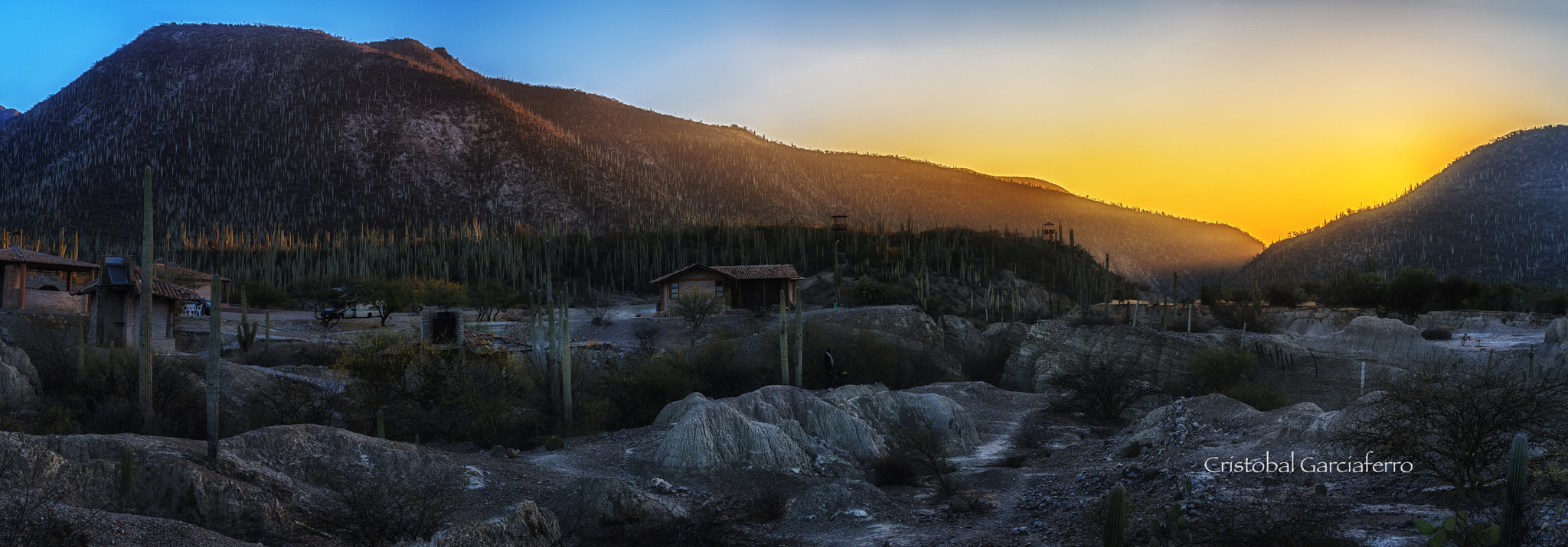 Pentax 645Z sample photo. Sunrise in the cactus land photography