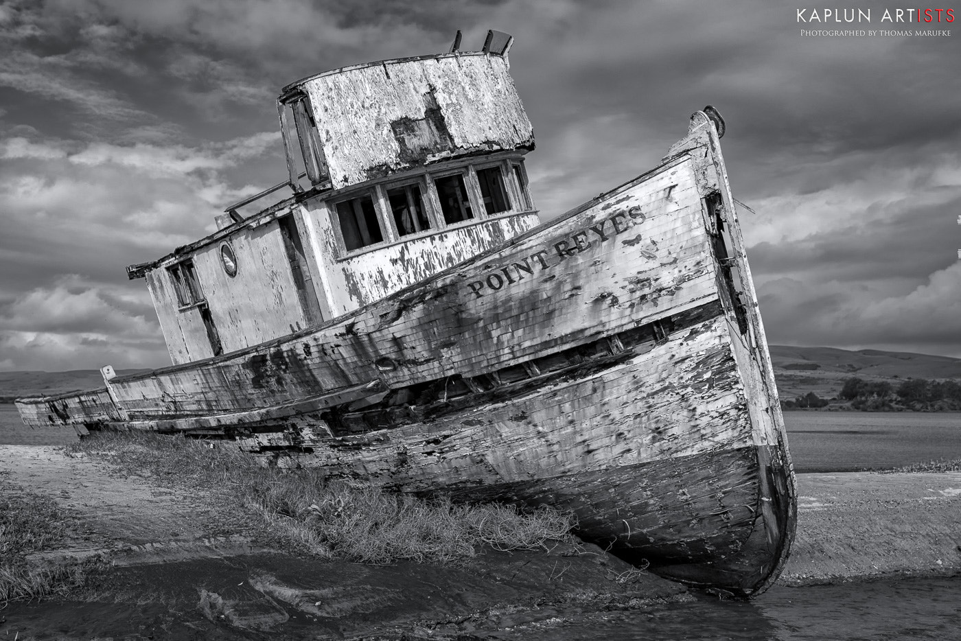 Sony a7R sample photo. Point reyes wrack photography