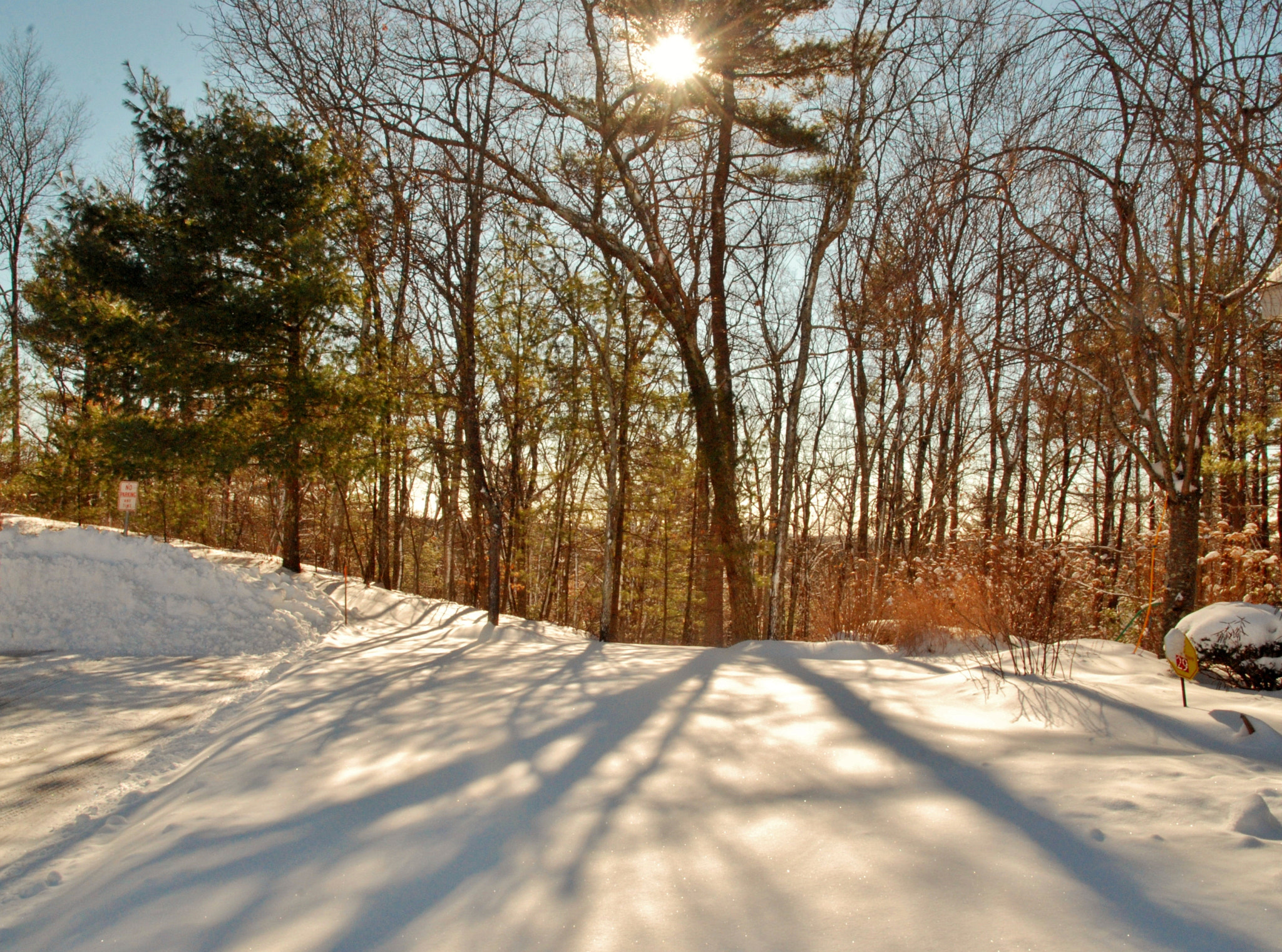 Nikon D60 sample photo. Do not fight the old build the new. photography
