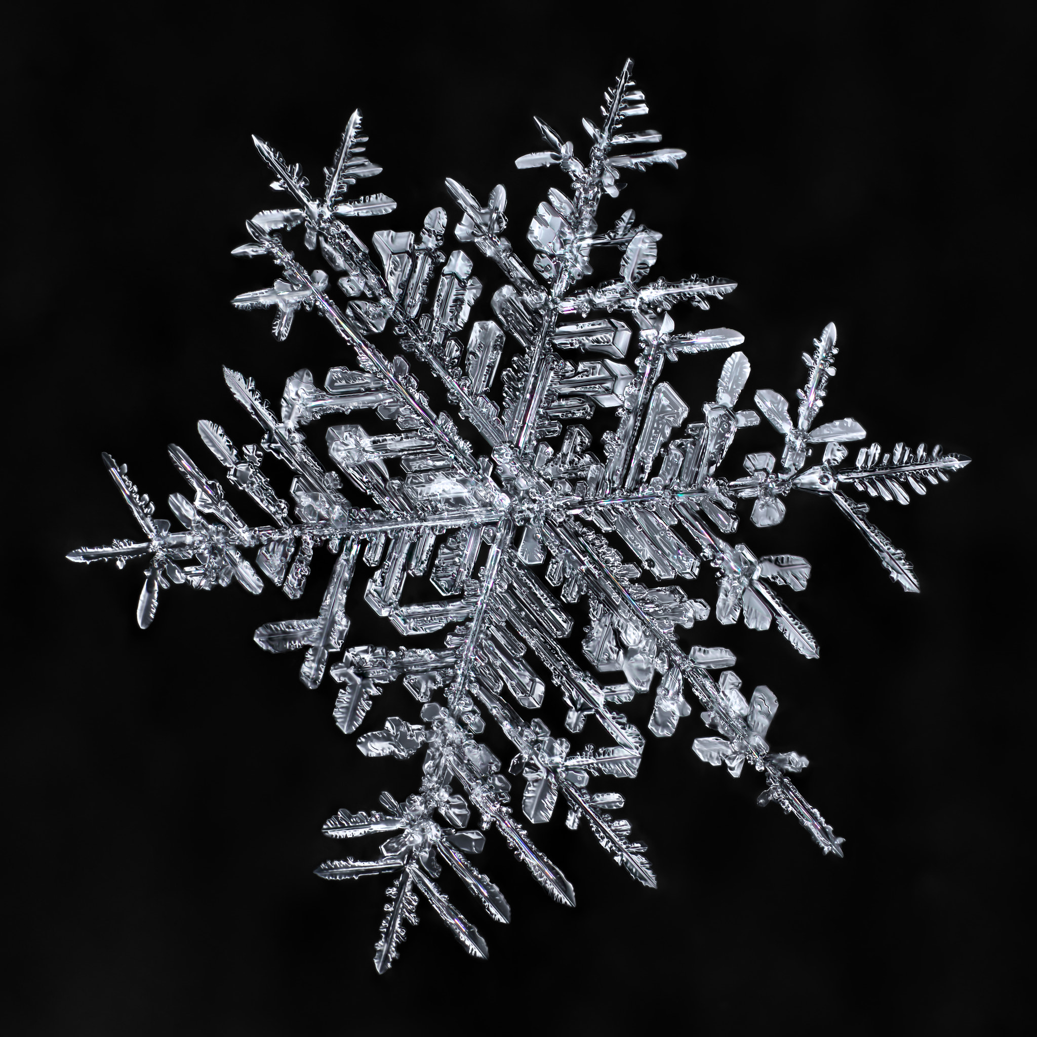Canon MP-E 65mm F2.5 1-5x Macro Photo sample photo. Snowflake-a-day #39 photography