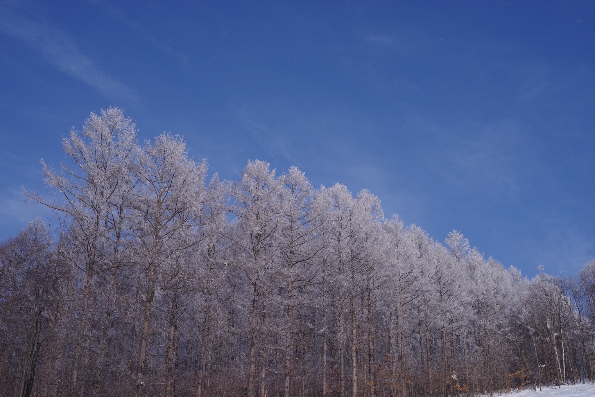 Pentax K-1 sample photo. Rime01 2017winter photography