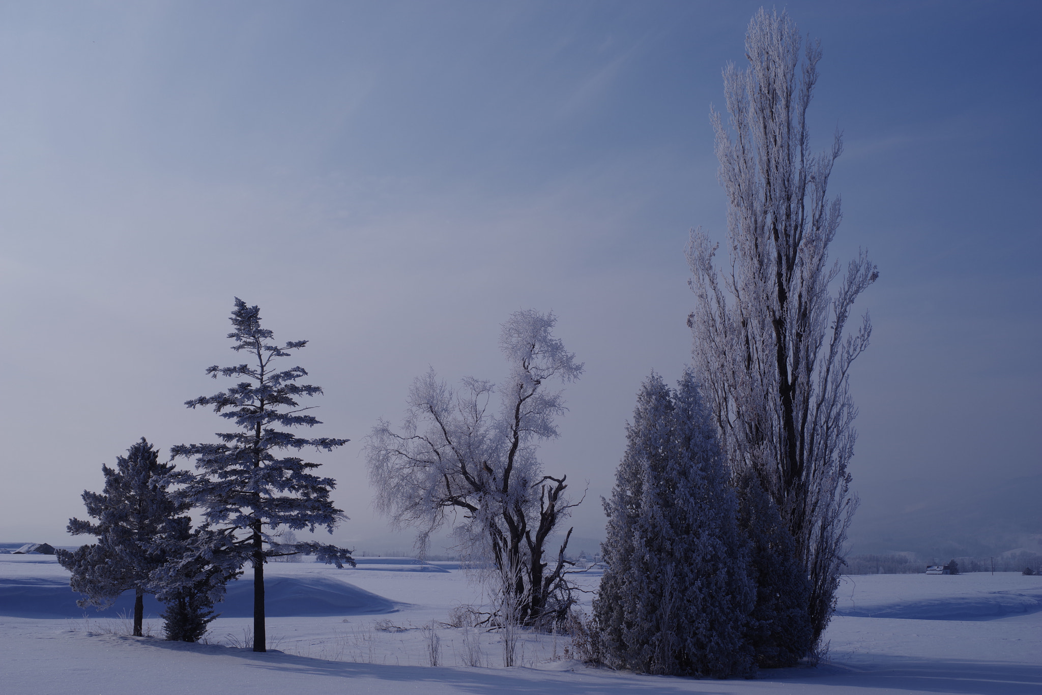 Pentax K-1 sample photo. Rime03  2017winter photography