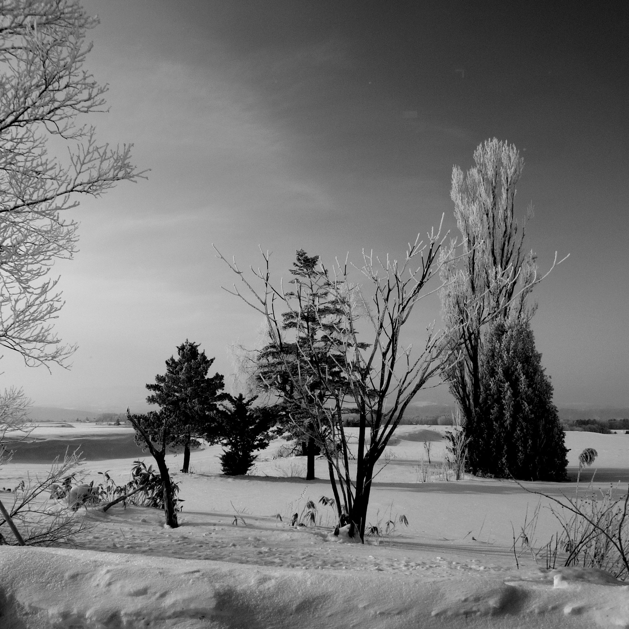 Pentax Q-S1 + Pentax 08 Wide Zoom sample photo. Rime monochrome photography