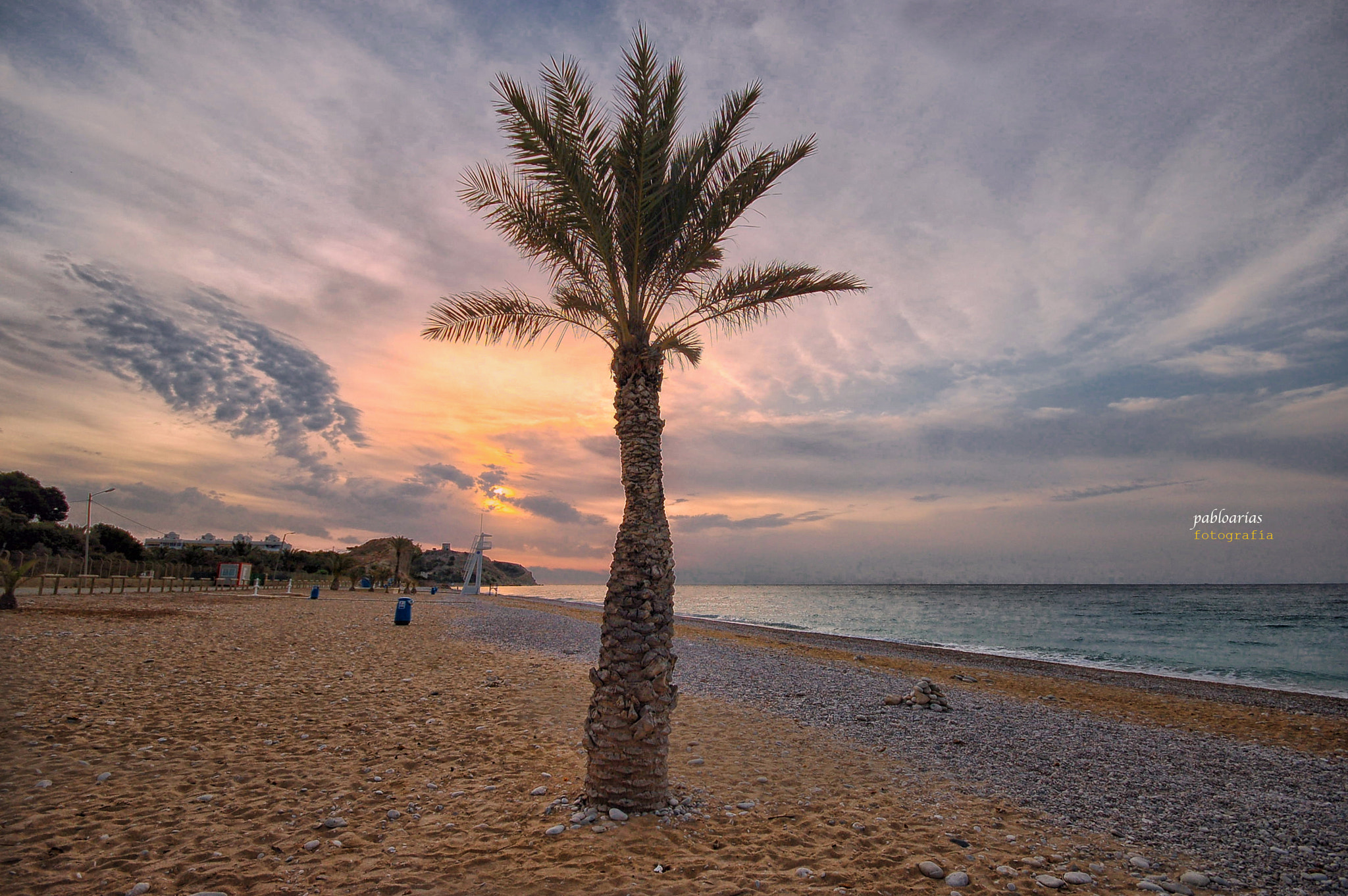 Sigma 10-20mm F4-5.6 EX DC HSM sample photo. Una palmera en la playa photography