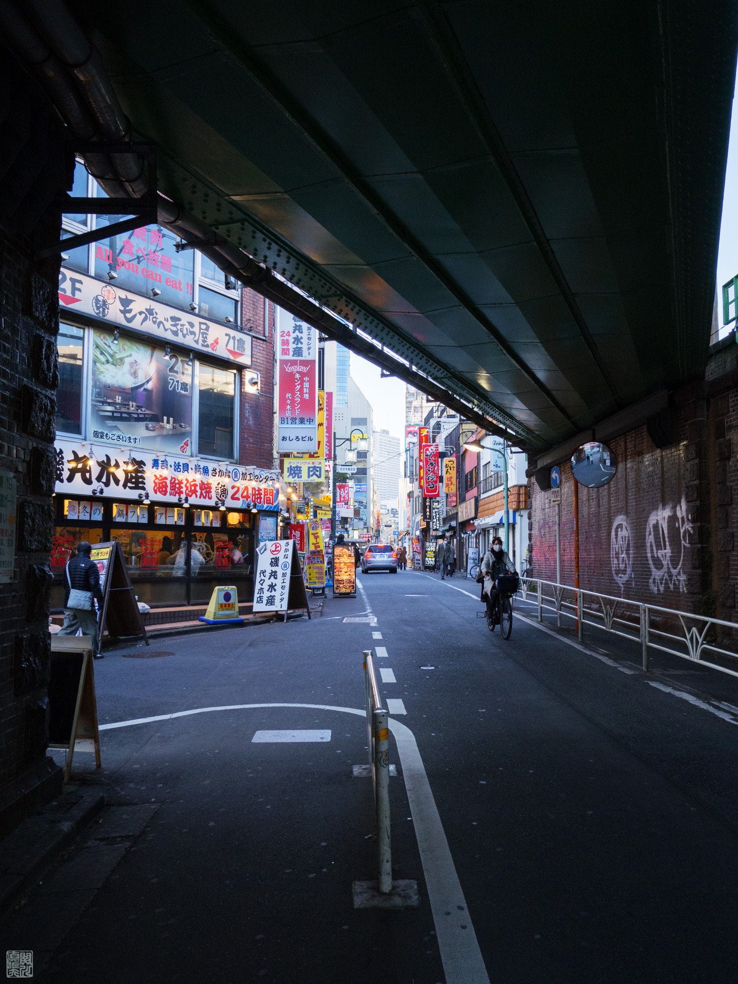 Olympus OM-D E-M10 II + LEICA DG SUMMILUX 15/F1.7 sample photo. Under a girder bridge photography