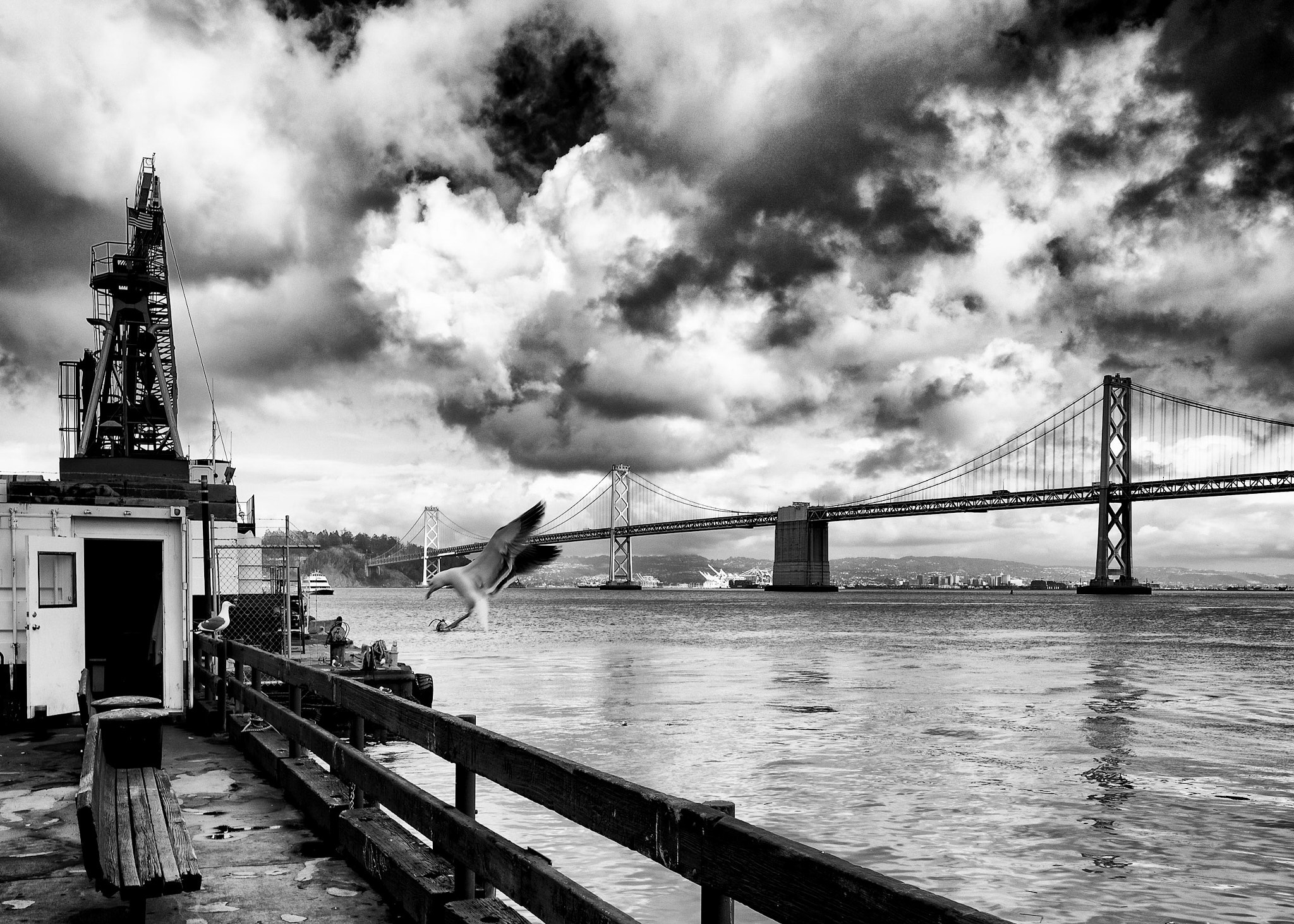 Canon EF 11-24mm F4L USM sample photo. Landing photography