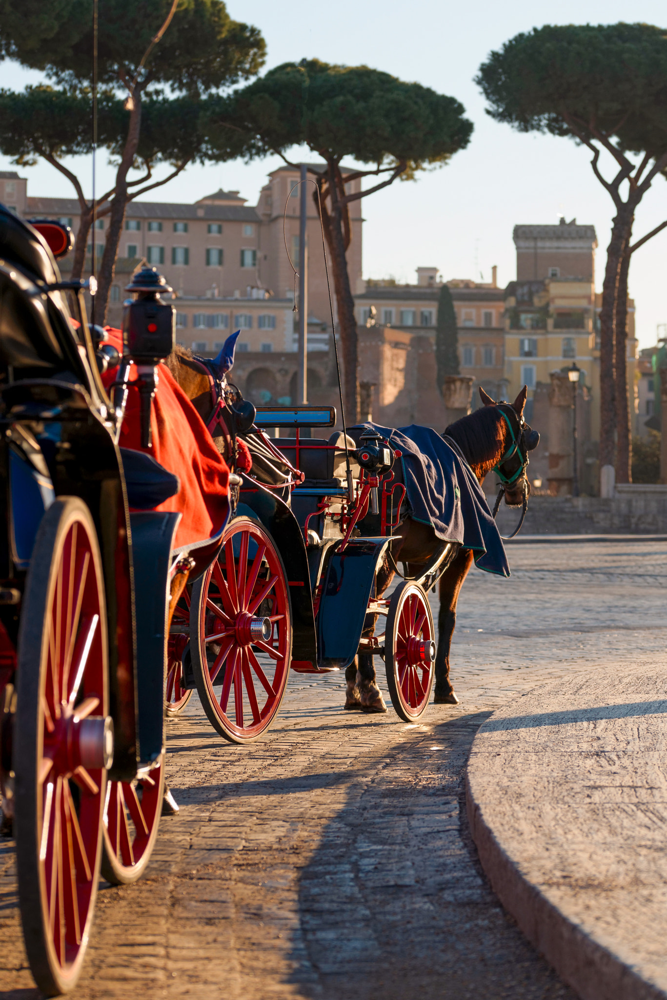 Nikon D800 sample photo. Horse-drawn carriages in roma photography