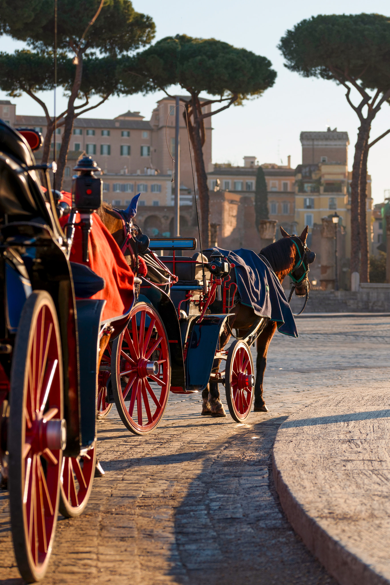 Sigma 105mm F2.8 EX DG OS HSM sample photo. Horse-drawn carriages in roma photography