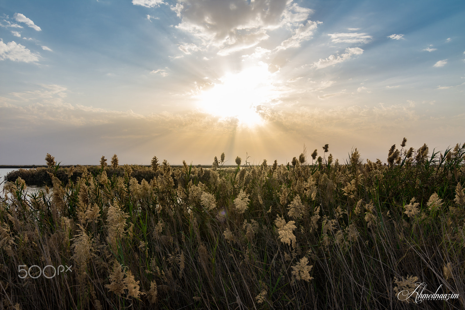 Tokina AT-X Pro 11-16mm F2.8 DX sample photo. Nature always wears the colors of the spirit. photography