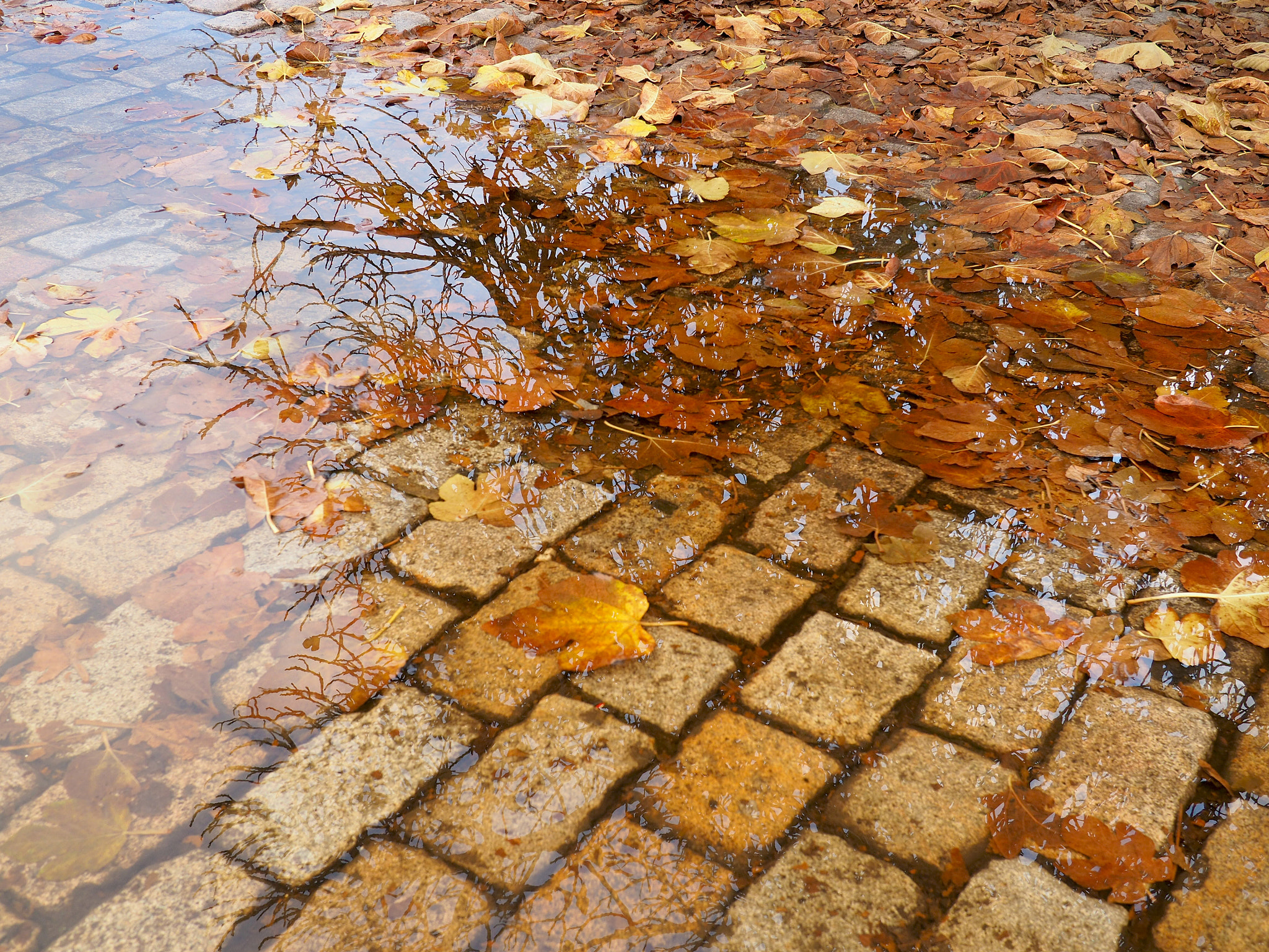 Olympus OM-D E-M5 II + Panasonic Lumix G 20mm F1.7 ASPH sample photo. Rain in spain photography