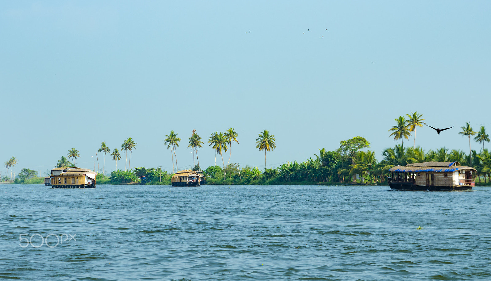 Tamron SP 24-70mm F2.8 Di VC USD sample photo. Vembanad lake photography