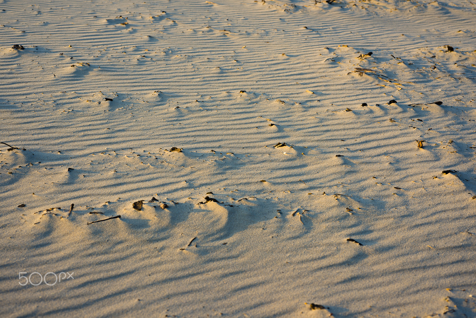 Nikon AF Micro-Nikkor 60mm F2.8D sample photo. Sand dunes under blue sky. desert near photography