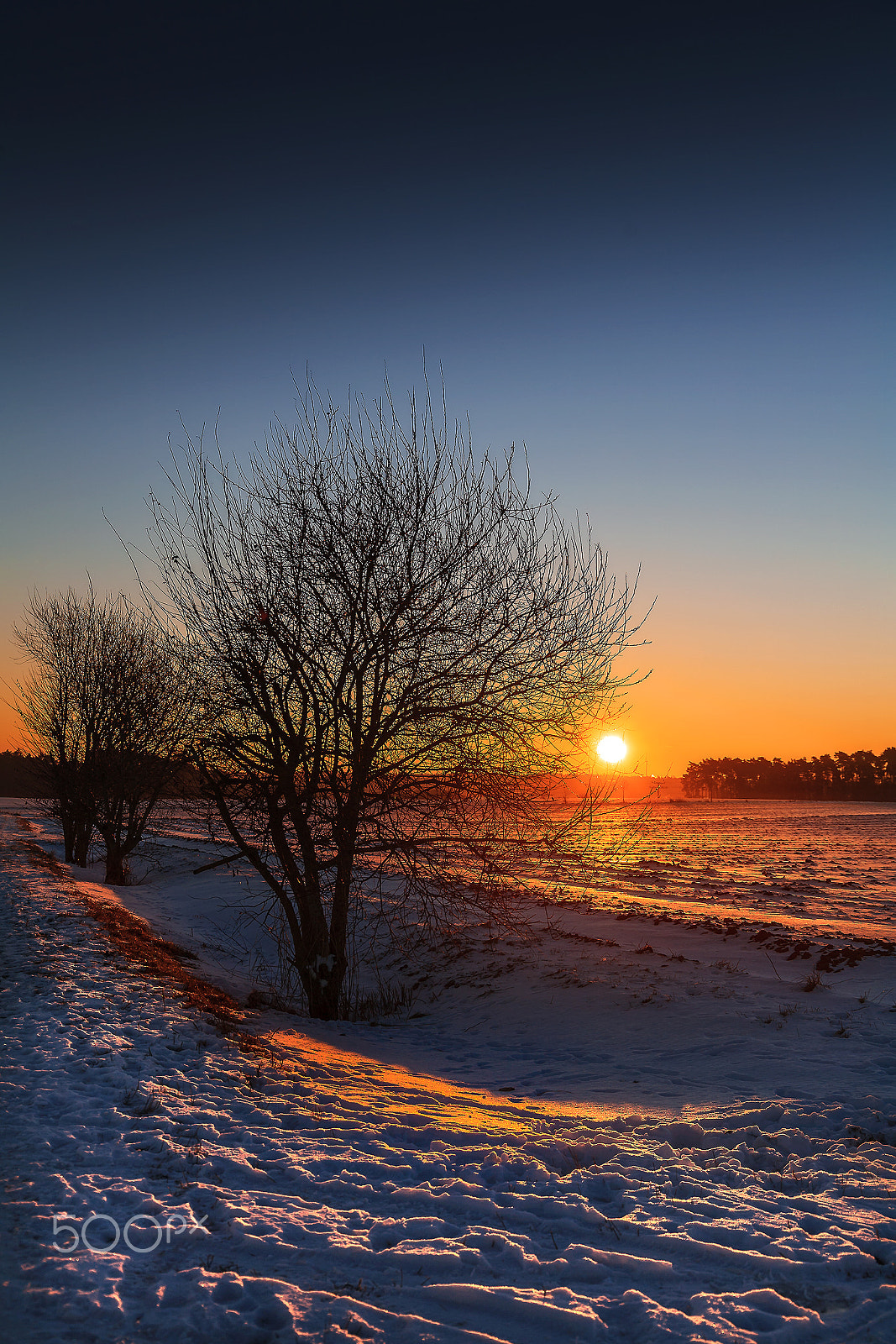 Canon EF 24-105mm F3.5-5.6 IS STM sample photo. Frozen morning sun photography