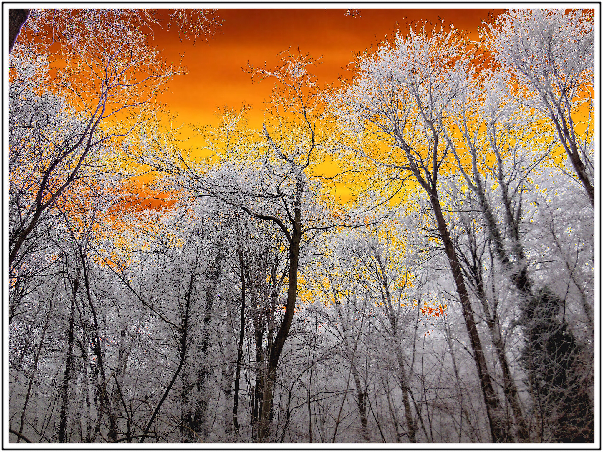 Nikon Coolpix S6500 sample photo. Froid glacial au petit matin, normandie photography