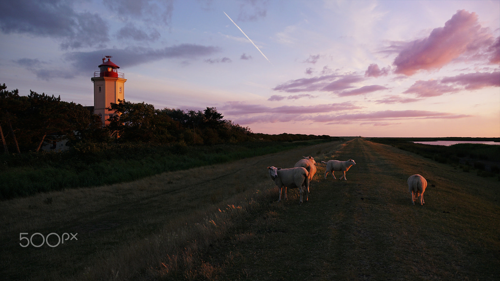 Sony DT 18-135mm F3.5-5.6 SAM sample photo. Beside the sunset photography