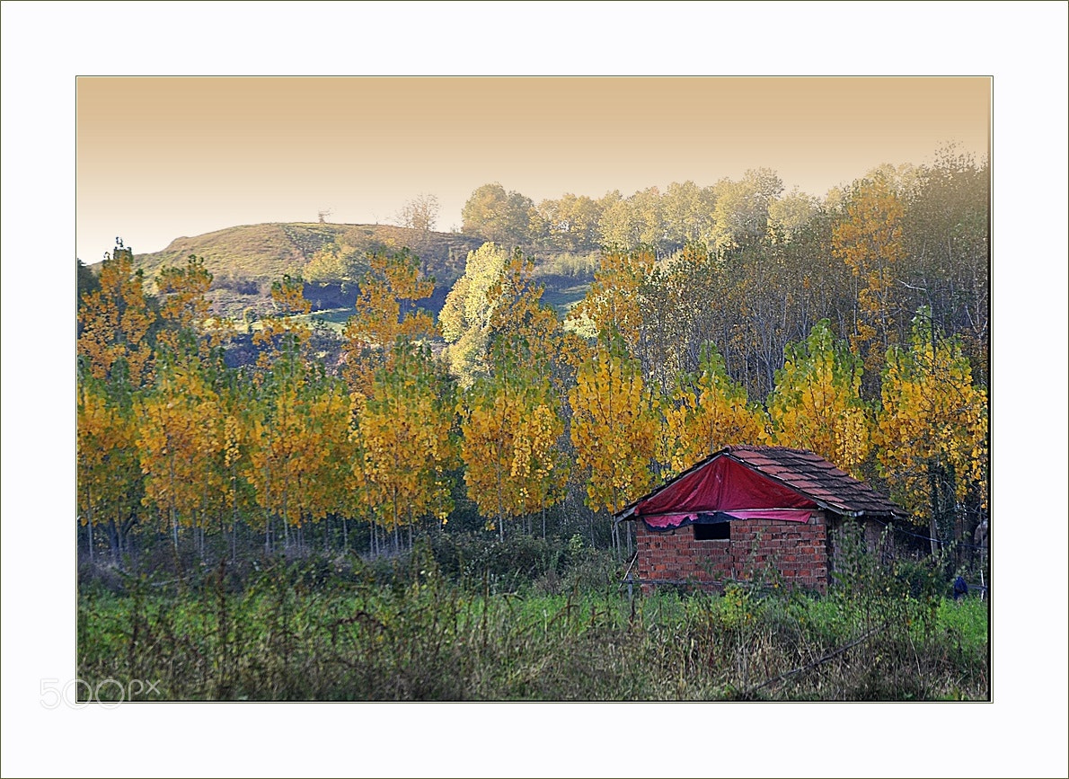Nikon D5000 sample photo. ** photography