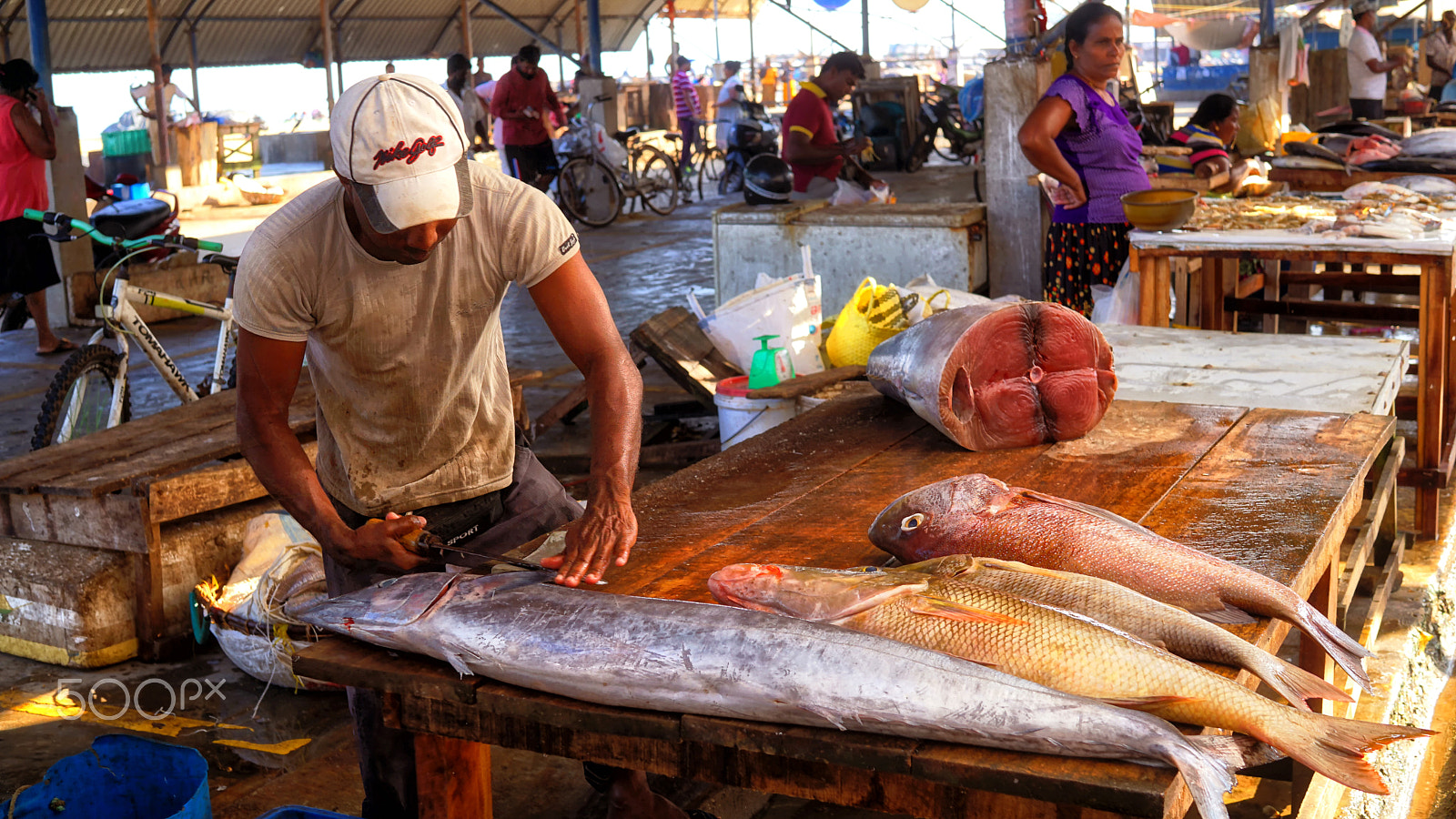 Sony a5100 + Sigma 30mm F2.8 EX DN sample photo. Fish market in negombo port! photography