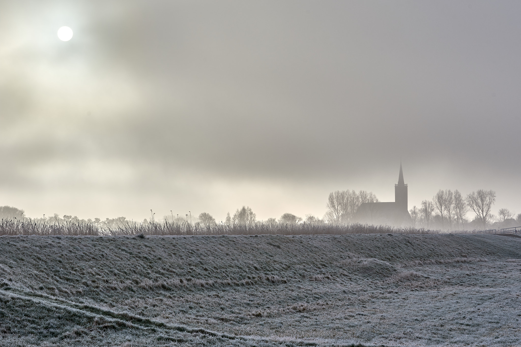 Nikon D750 sample photo. Misty winter morning photography