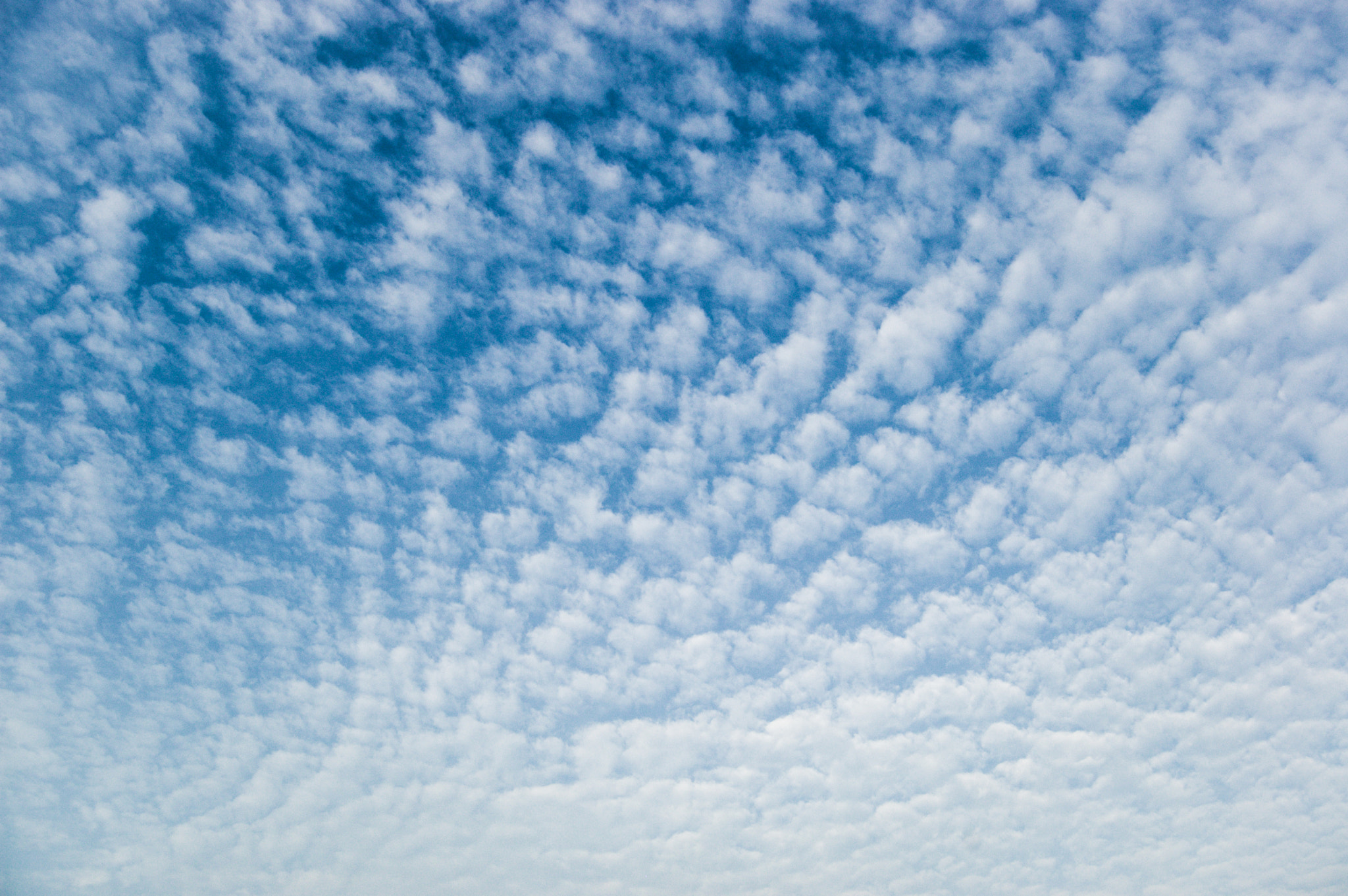 Nikon D70 sample photo. Cloudy photography