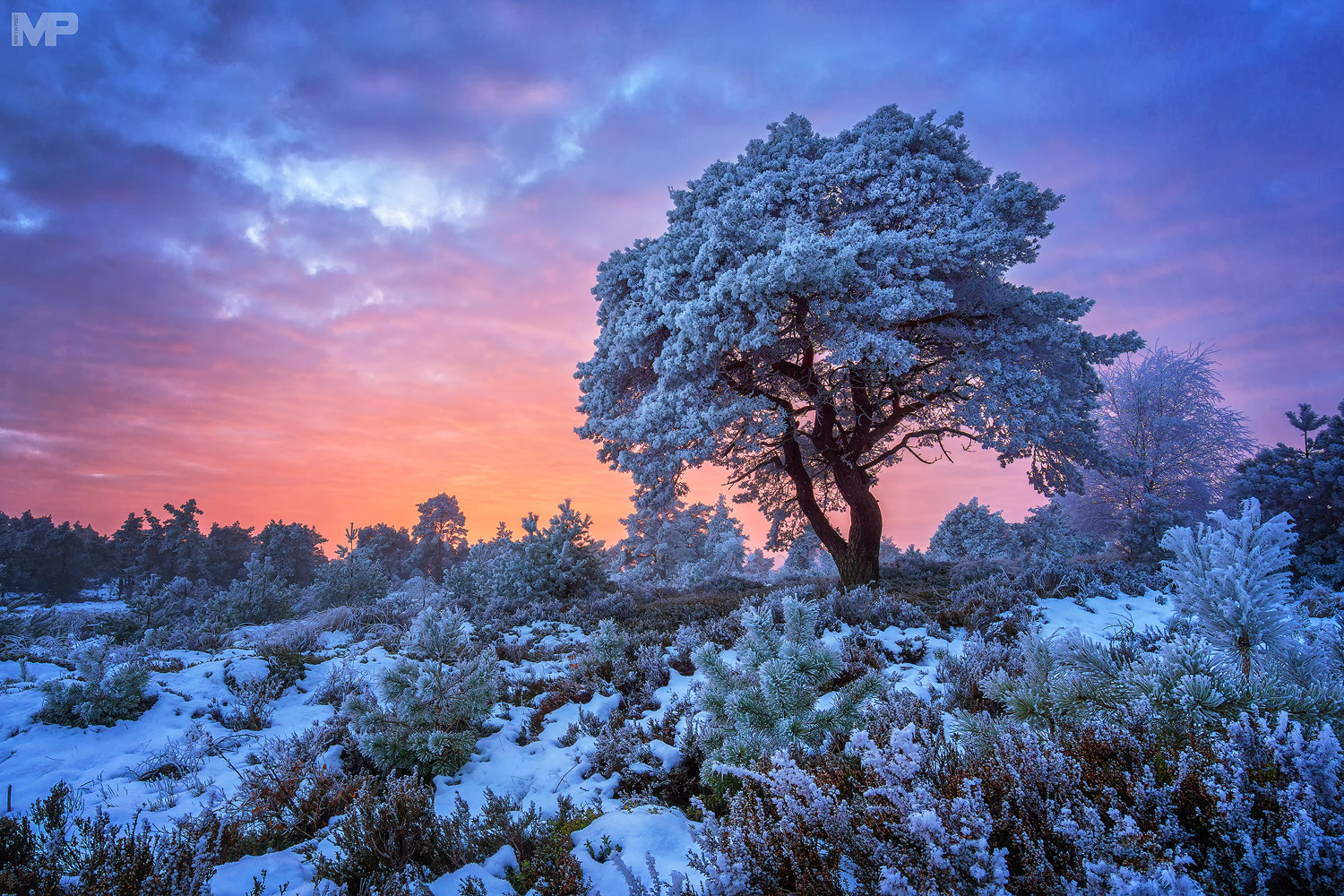 Sony a5100 + Sony E 10-18mm F4 OSS sample photo. Winter wonderland ii photography