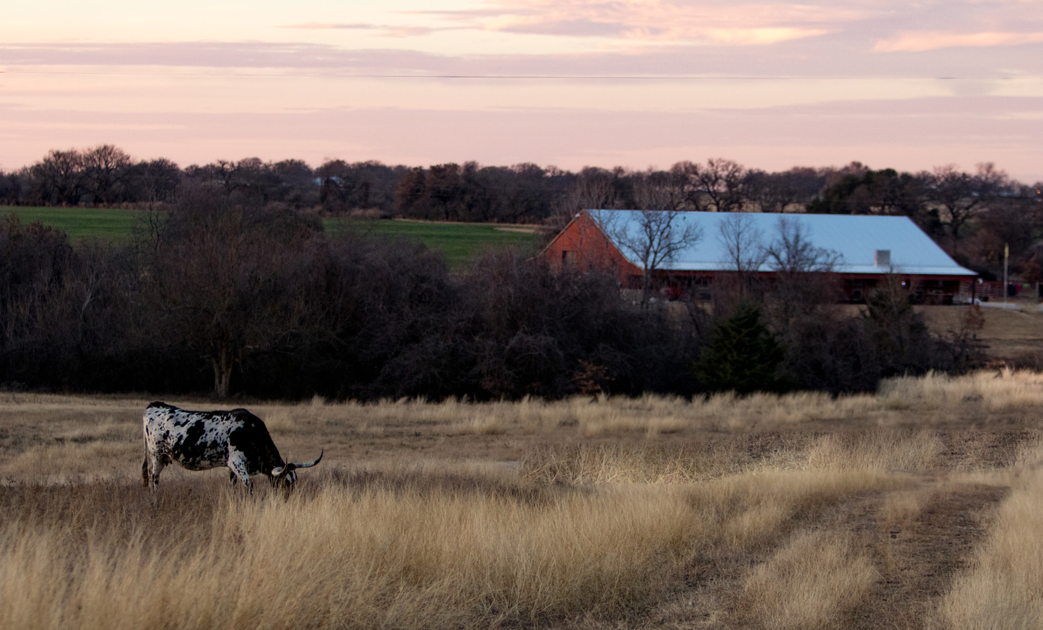 Canon EF 70-200mm F2.8L IS USM sample photo. Farm (of ) photography