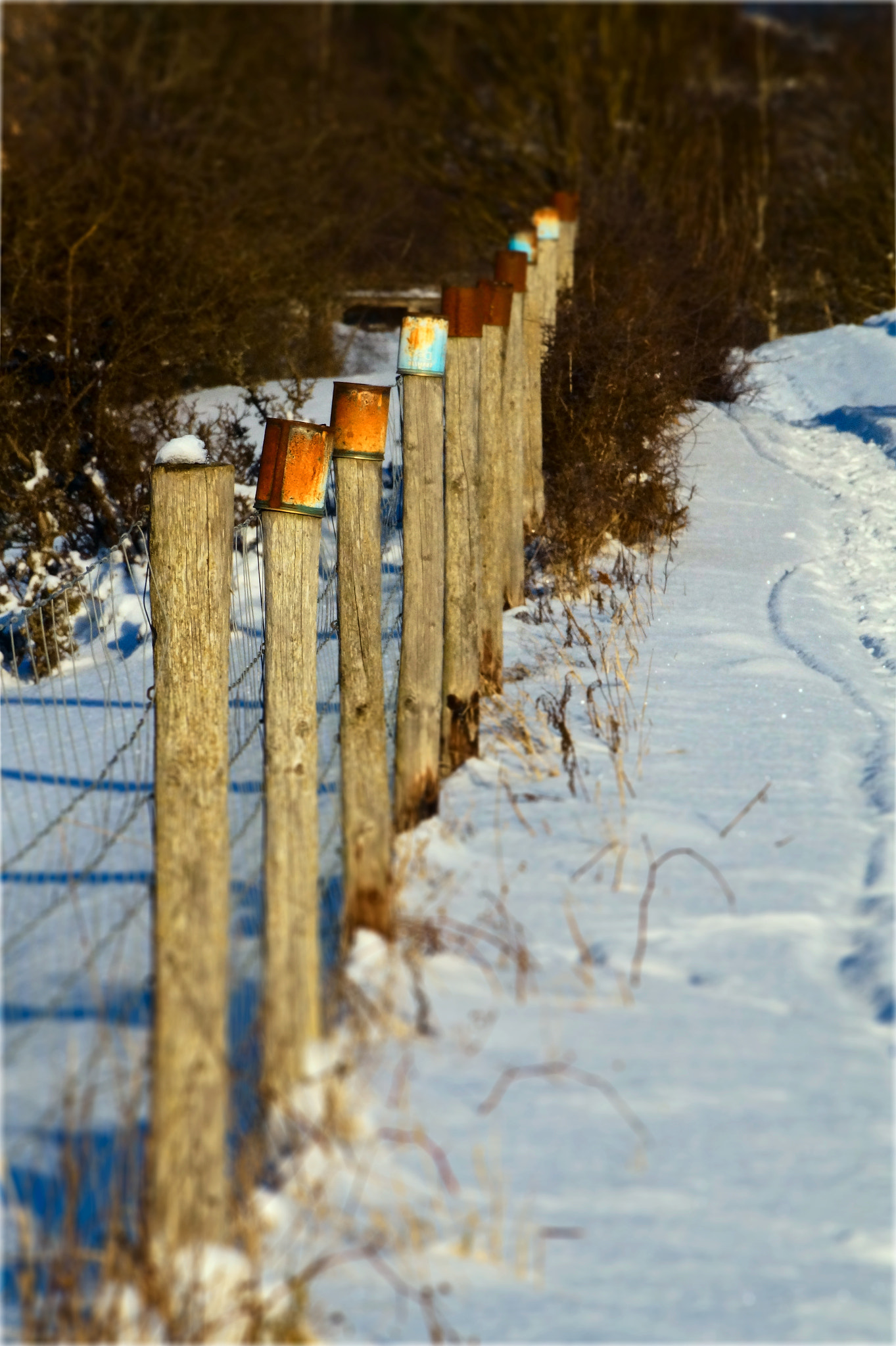 Sony DT 18-200mm F3.5-6.3 sample photo. Fence photography