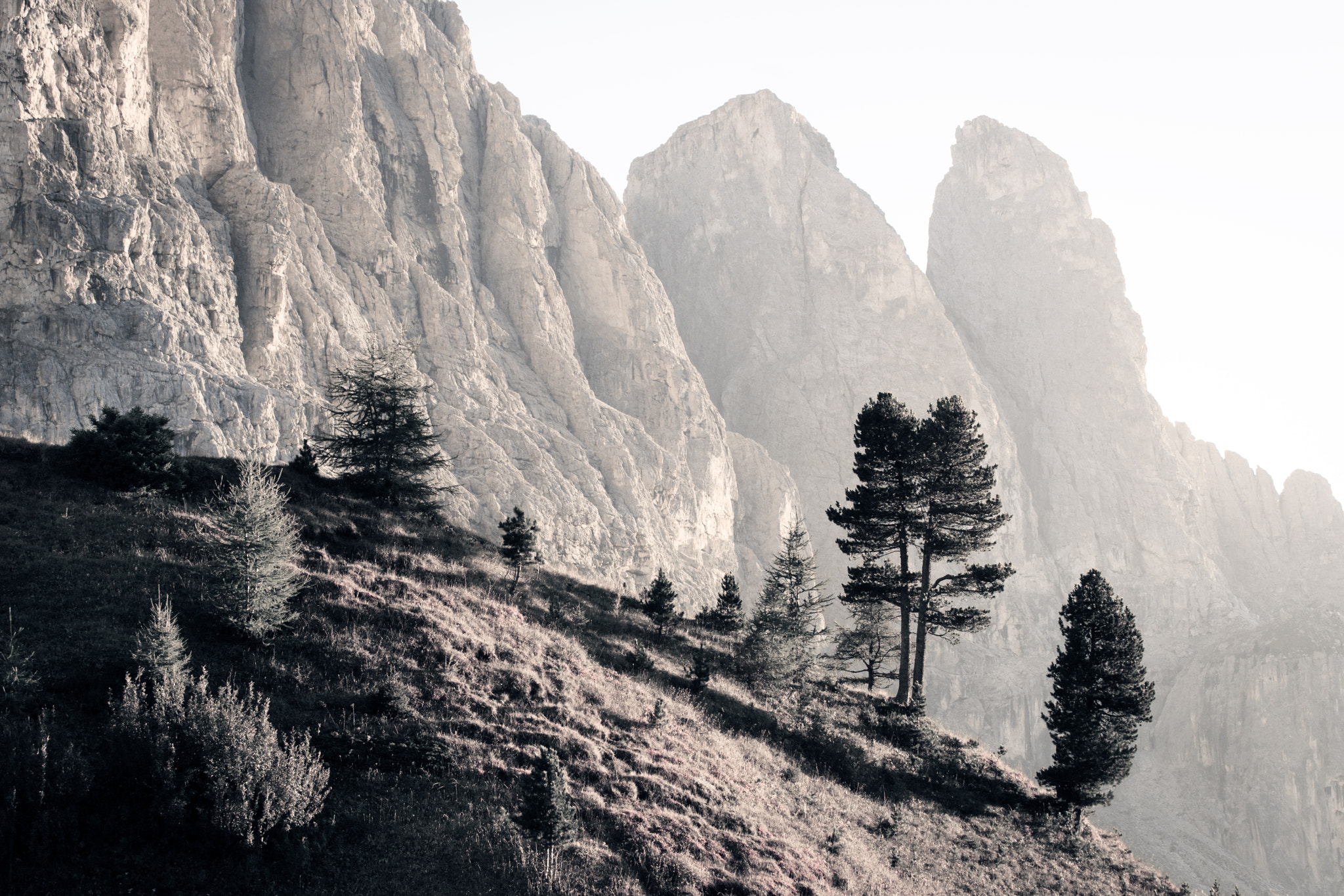 Minolta/Sony AF 70-200mm F2.8 G sample photo. Big towers, little trees photography