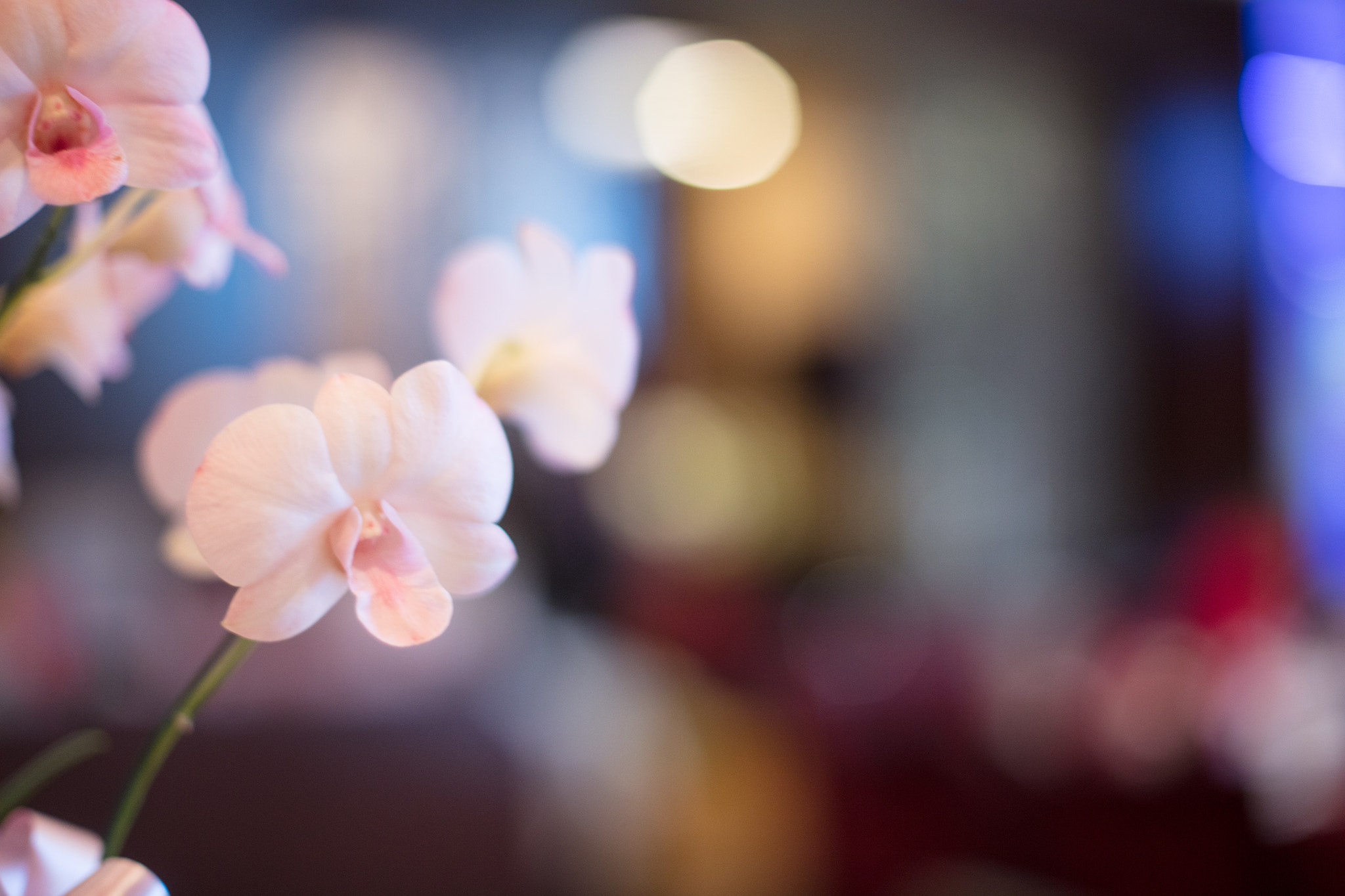 Canon EOS 5DS R sample photo. A photography