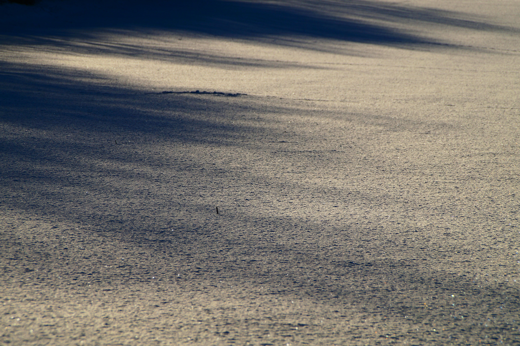 Sony DT 18-200mm F3.5-6.3 sample photo. Winter light photography