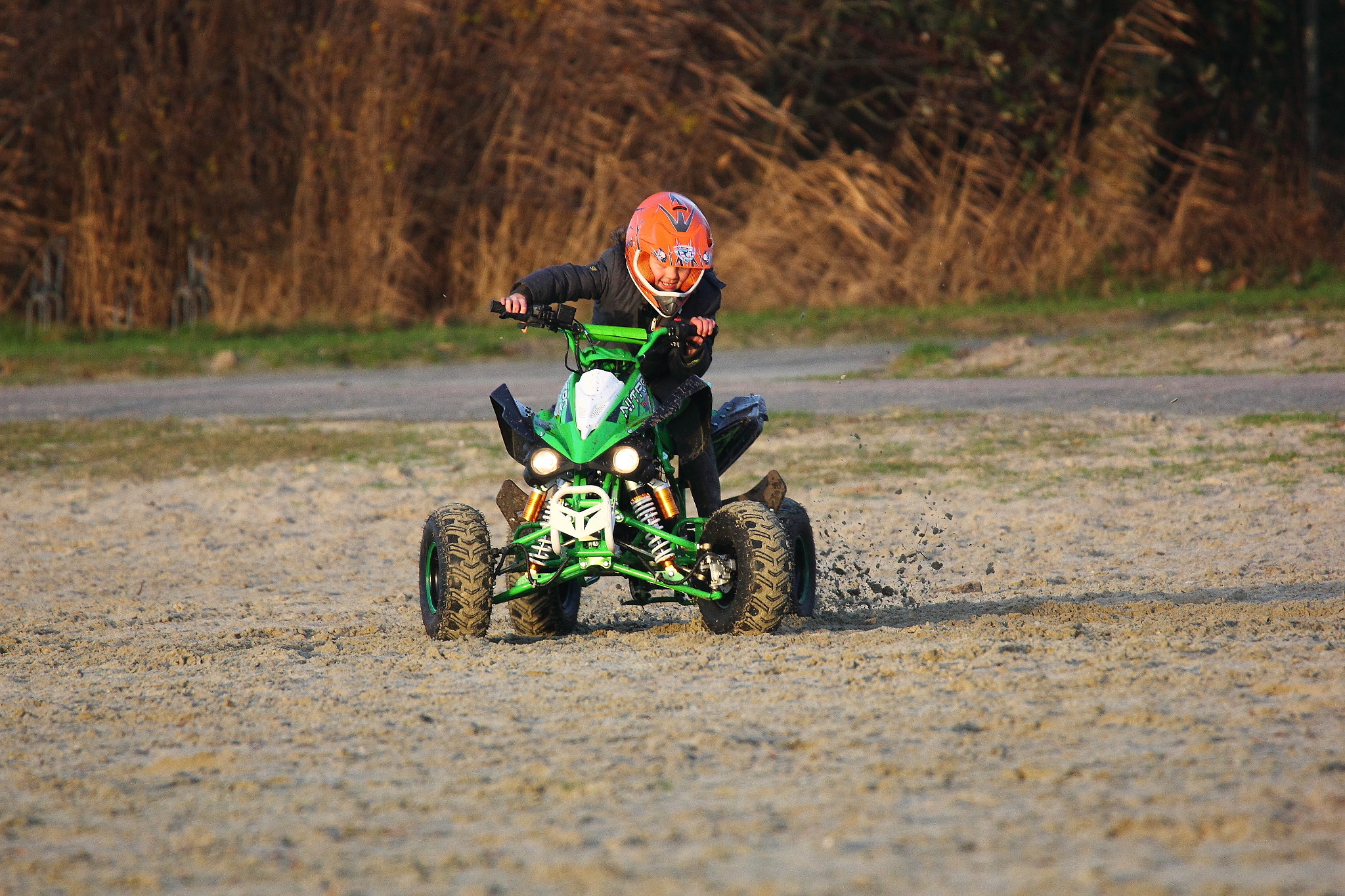 Tamron SP 150-600mm F5-6.3 Di VC USD sample photo. Nitro speedbird photography