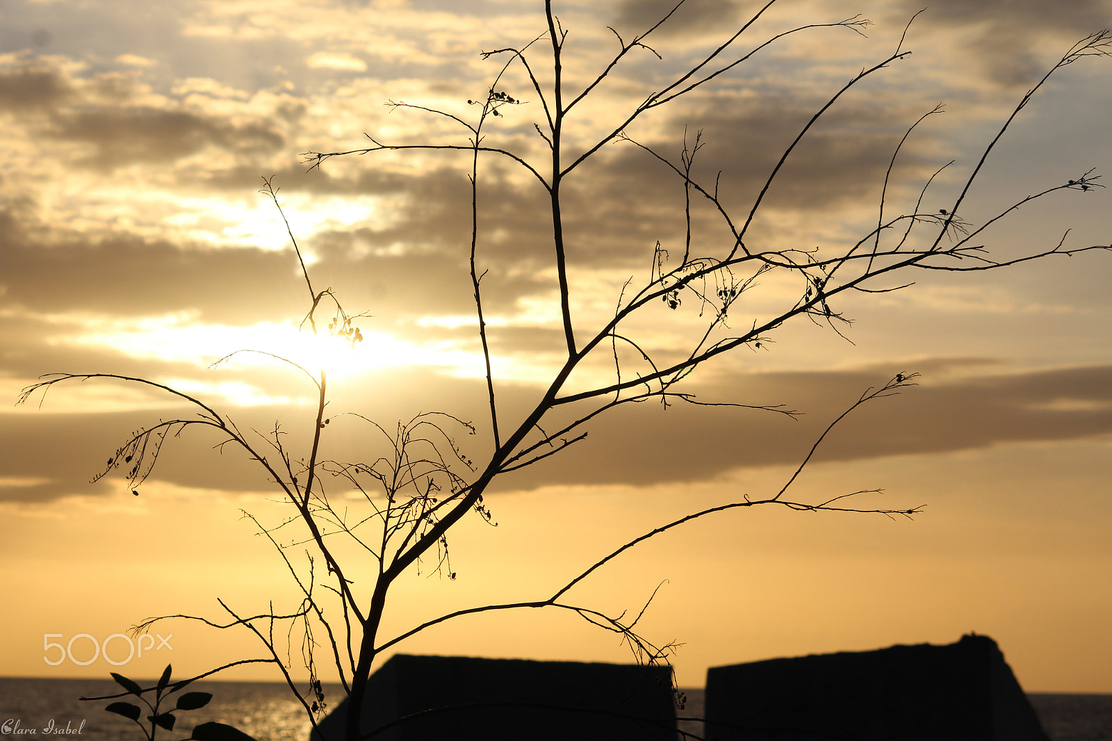 Canon EOS 1200D (EOS Rebel T5 / EOS Kiss X70 / EOS Hi) sample photo. Simplemente disparos a la vida... photography