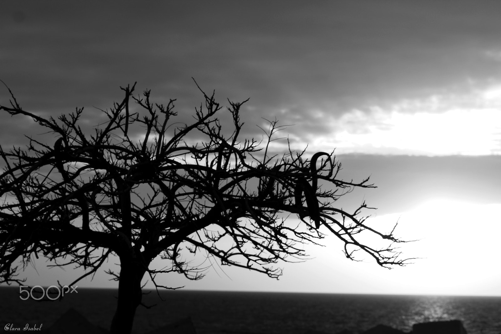 Canon EOS 1200D (EOS Rebel T5 / EOS Kiss X70 / EOS Hi) sample photo. Simplemente disparos a la vida... photography