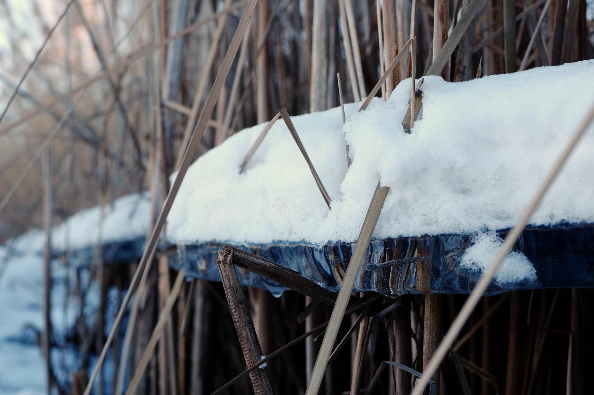 Nikon D3100 + Tamron SP 35mm F1.8 Di VC USD sample photo. Bound in ice photography
