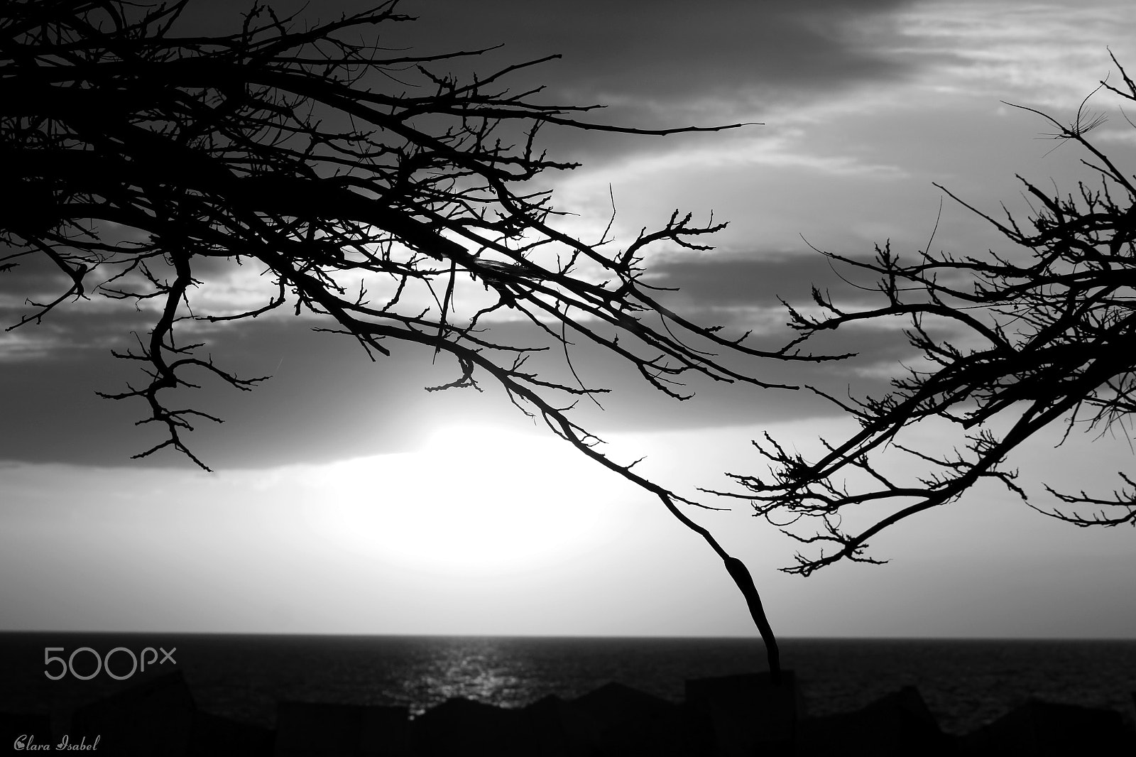 Canon EOS 1200D (EOS Rebel T5 / EOS Kiss X70 / EOS Hi) sample photo. Simplemente disparos a la vida... photography