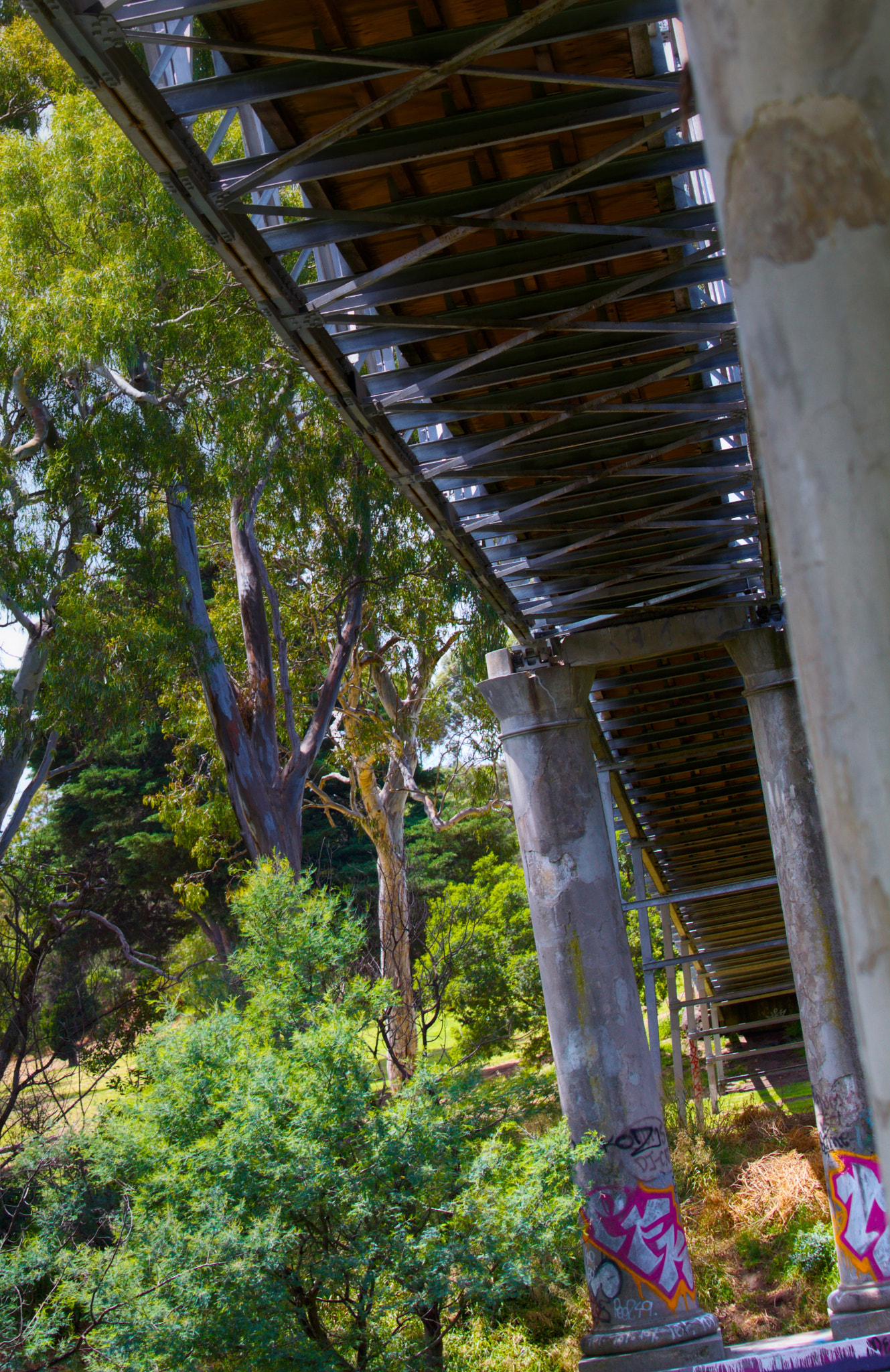 Canon EF 70-200mm F4L IS USM sample photo. Abbotsfords vic photography