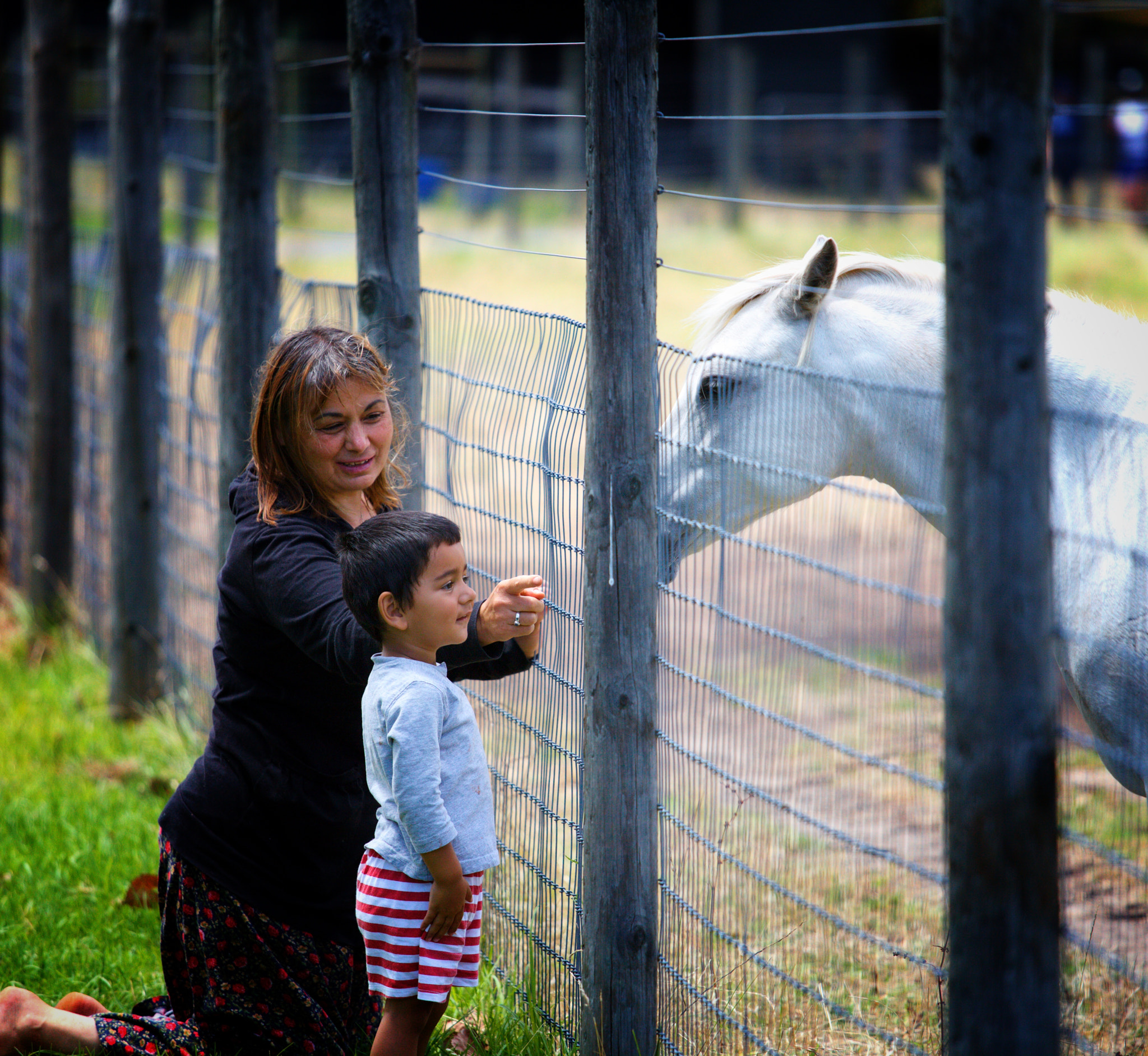 Canon EOS 5D Mark II sample photo. Abbotsford vic photography