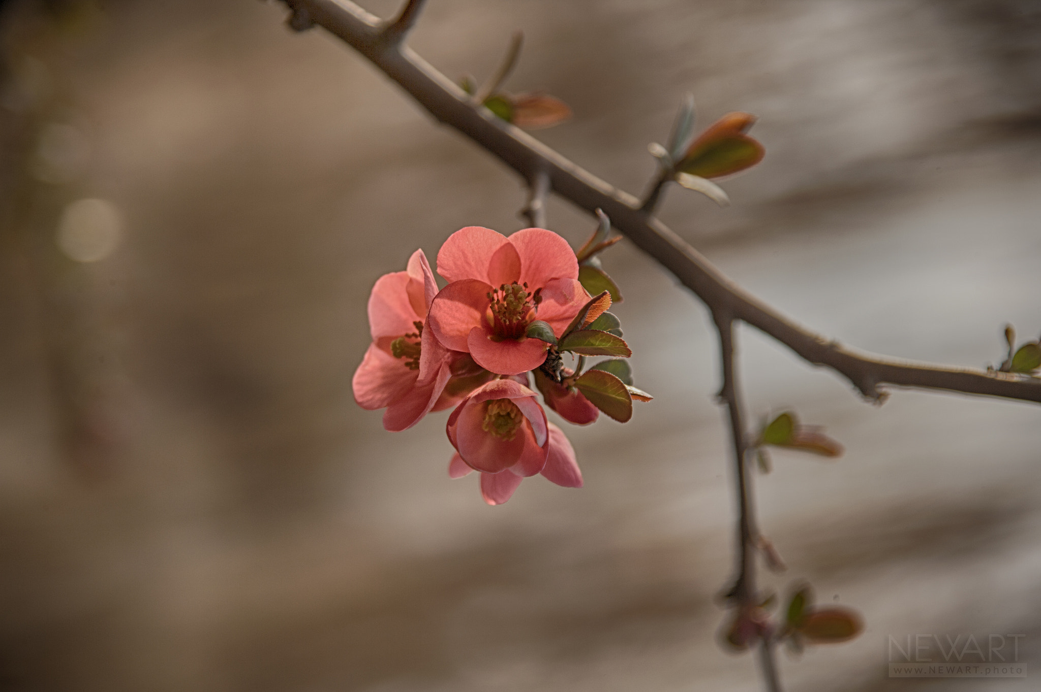 Canon EOS-1Ds Mark II sample photo. 0248 photography