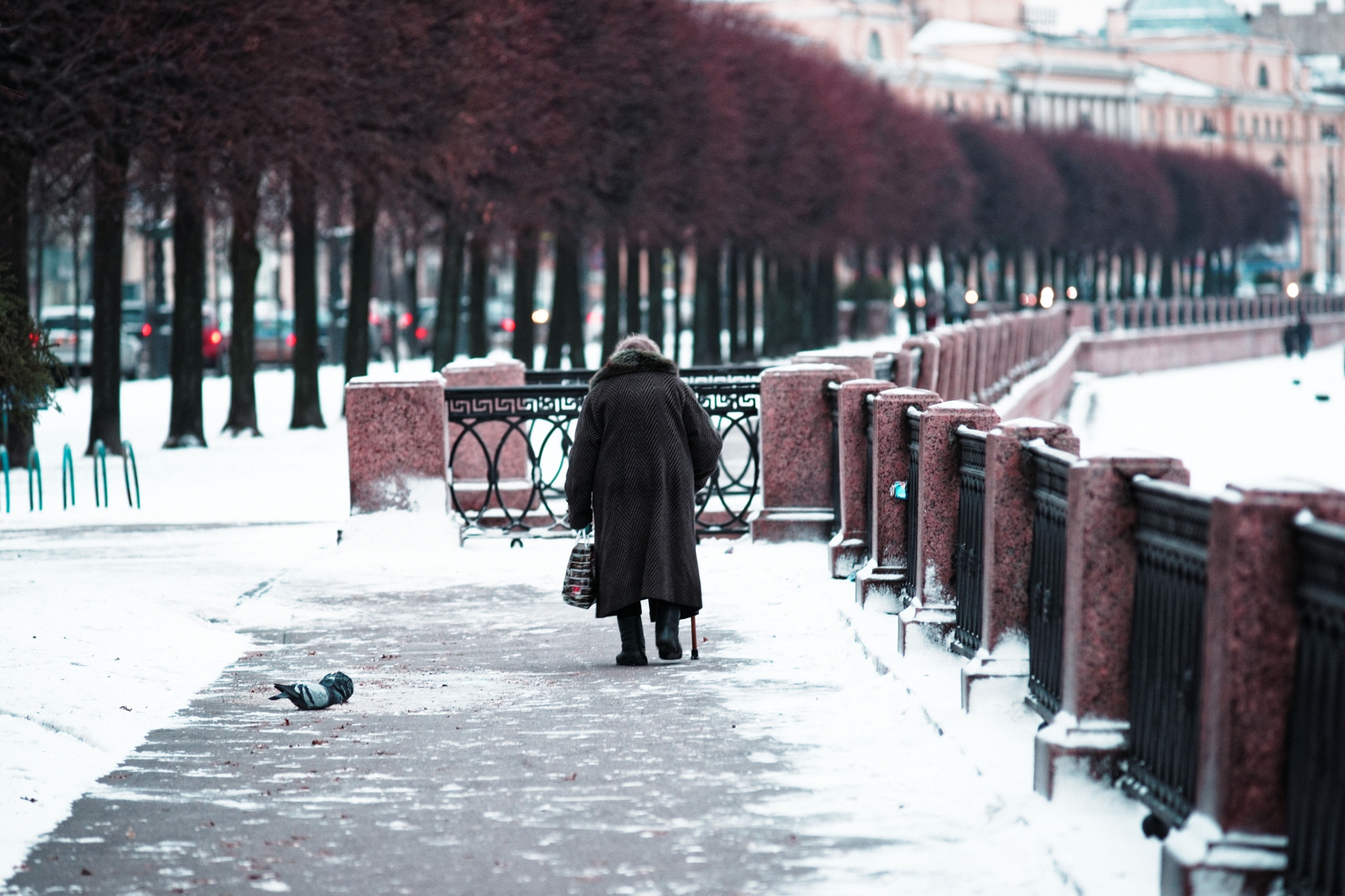 Minolta AF 80-200mm F2.8 HS-APO G sample photo. Cold photography