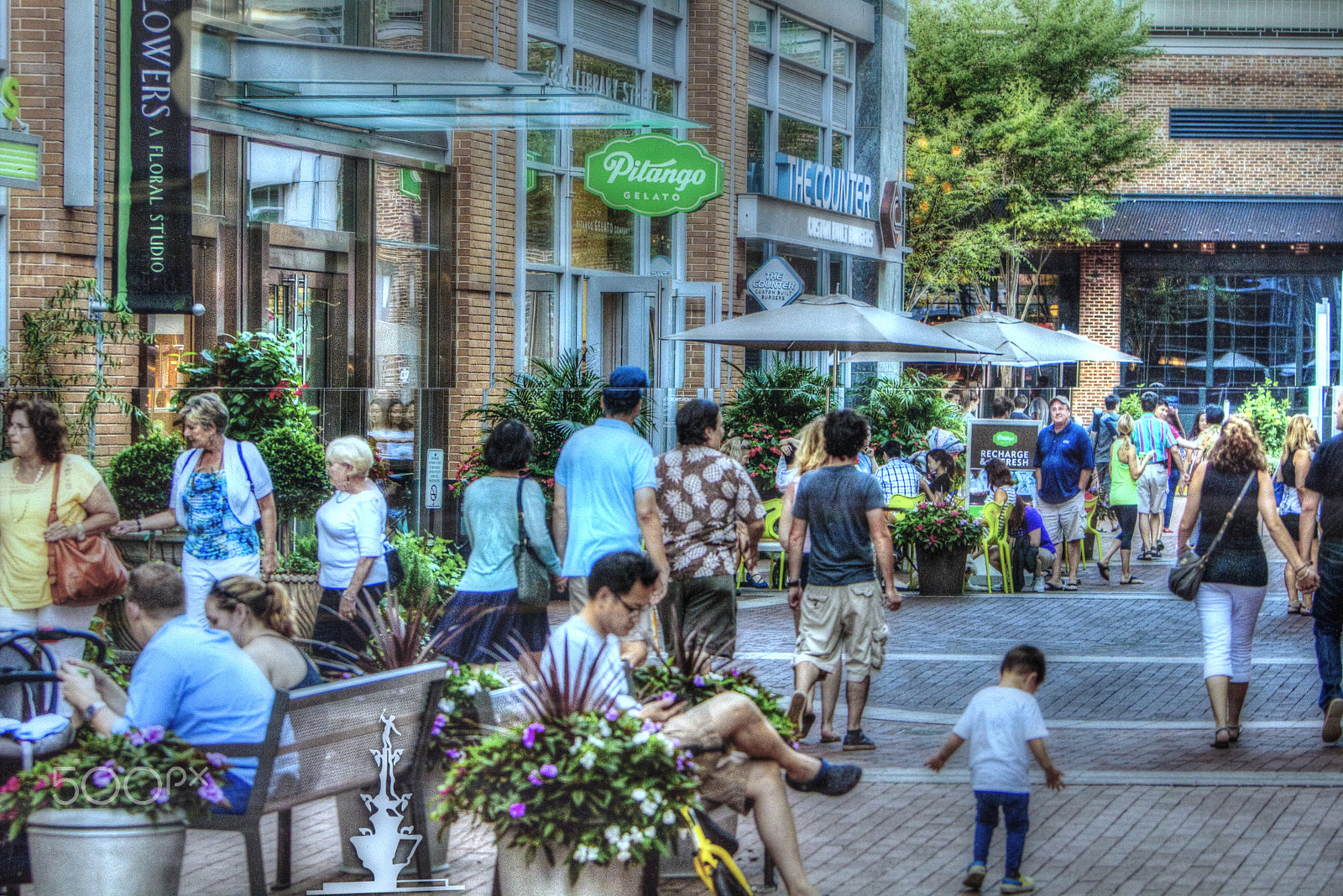 Canon EOS 100D (EOS Rebel SL1 / EOS Kiss X7) sample photo. Onthe towne photography