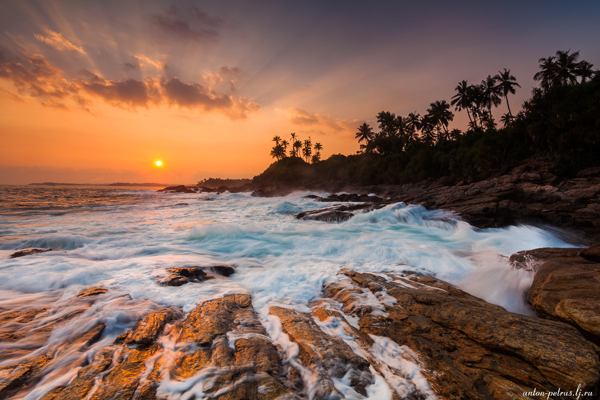 Canon EF-S 17-85mm F4-5.6 IS USM sample photo. One more day in paradise photography
