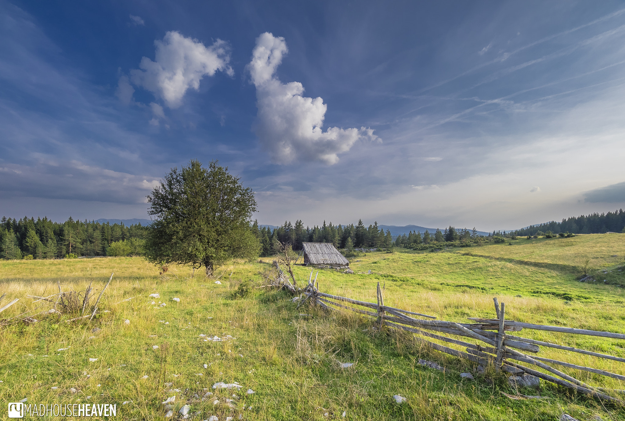 Olympus OM-D E-M1 + Olympus M.Zuiko Digital ED 7-14mm F2.8 PRO sample photo. Pastoral symphony photography