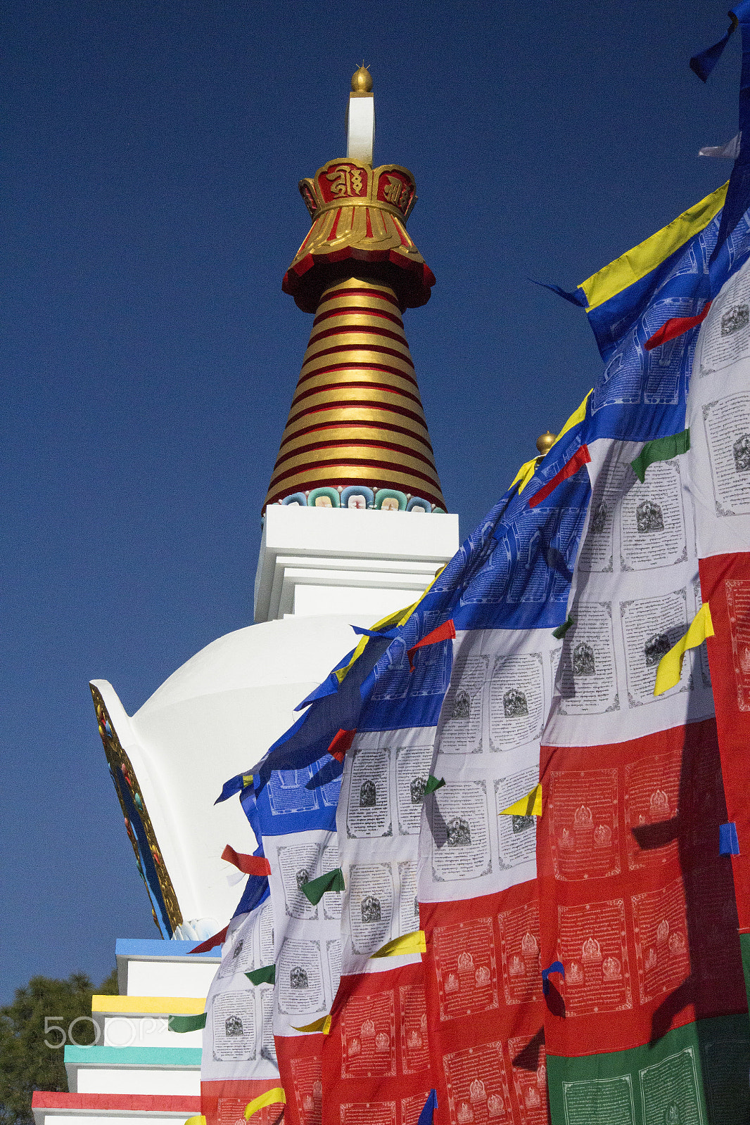 Canon EOS M sample photo. Wind horse flag photography