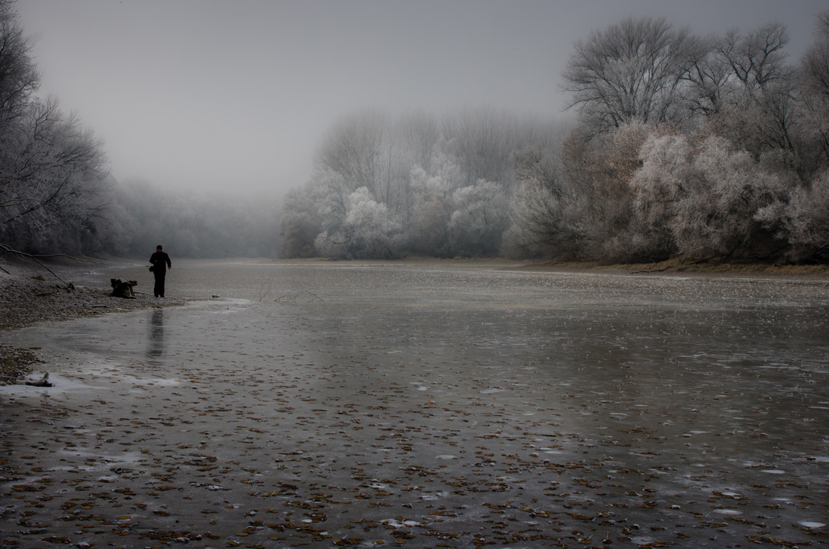 Pentax K-5 sample photo. -frosty walk ii- photography