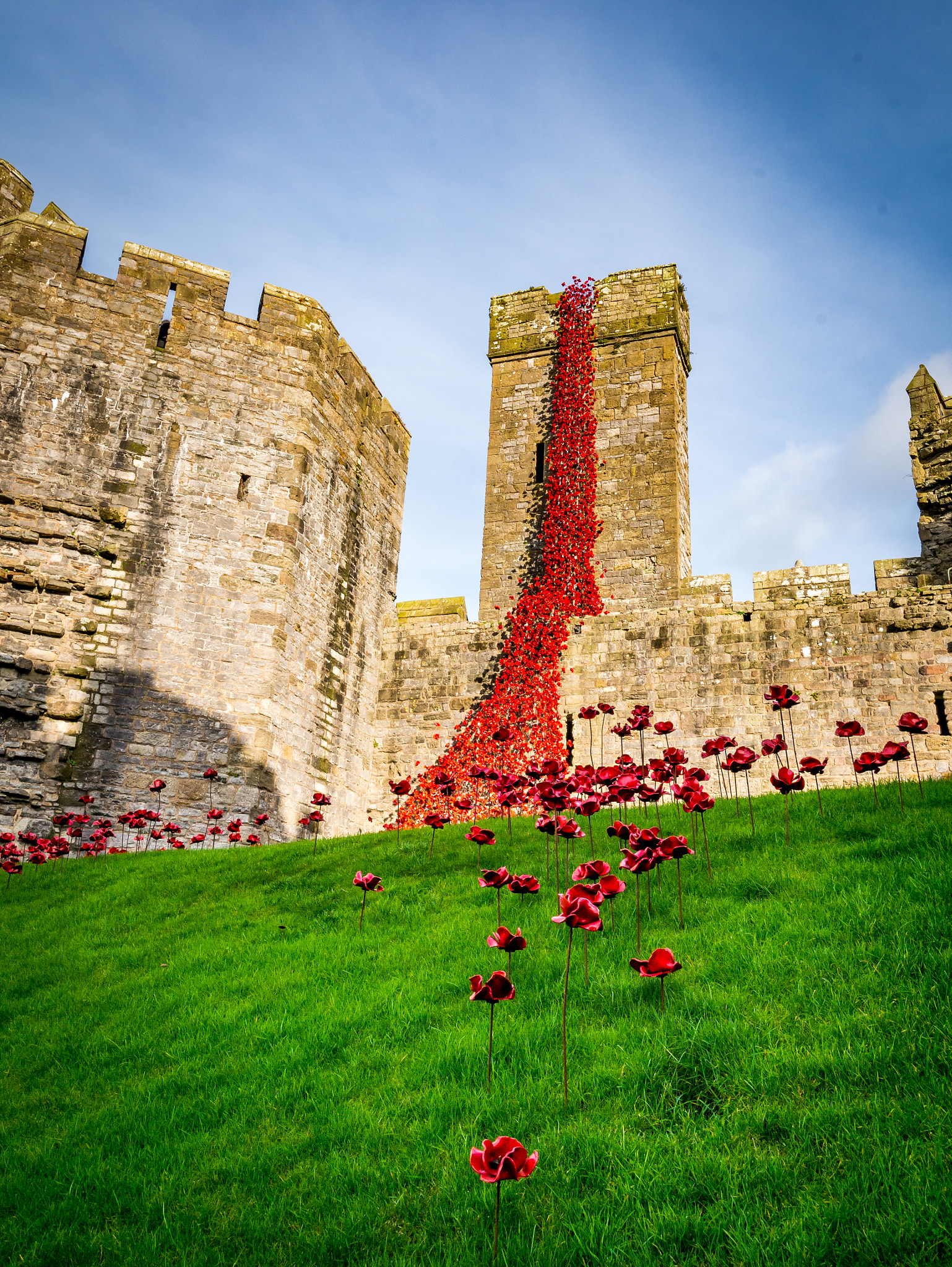 Panasonic Lumix DMC-GX7 sample photo. Weeping window photography