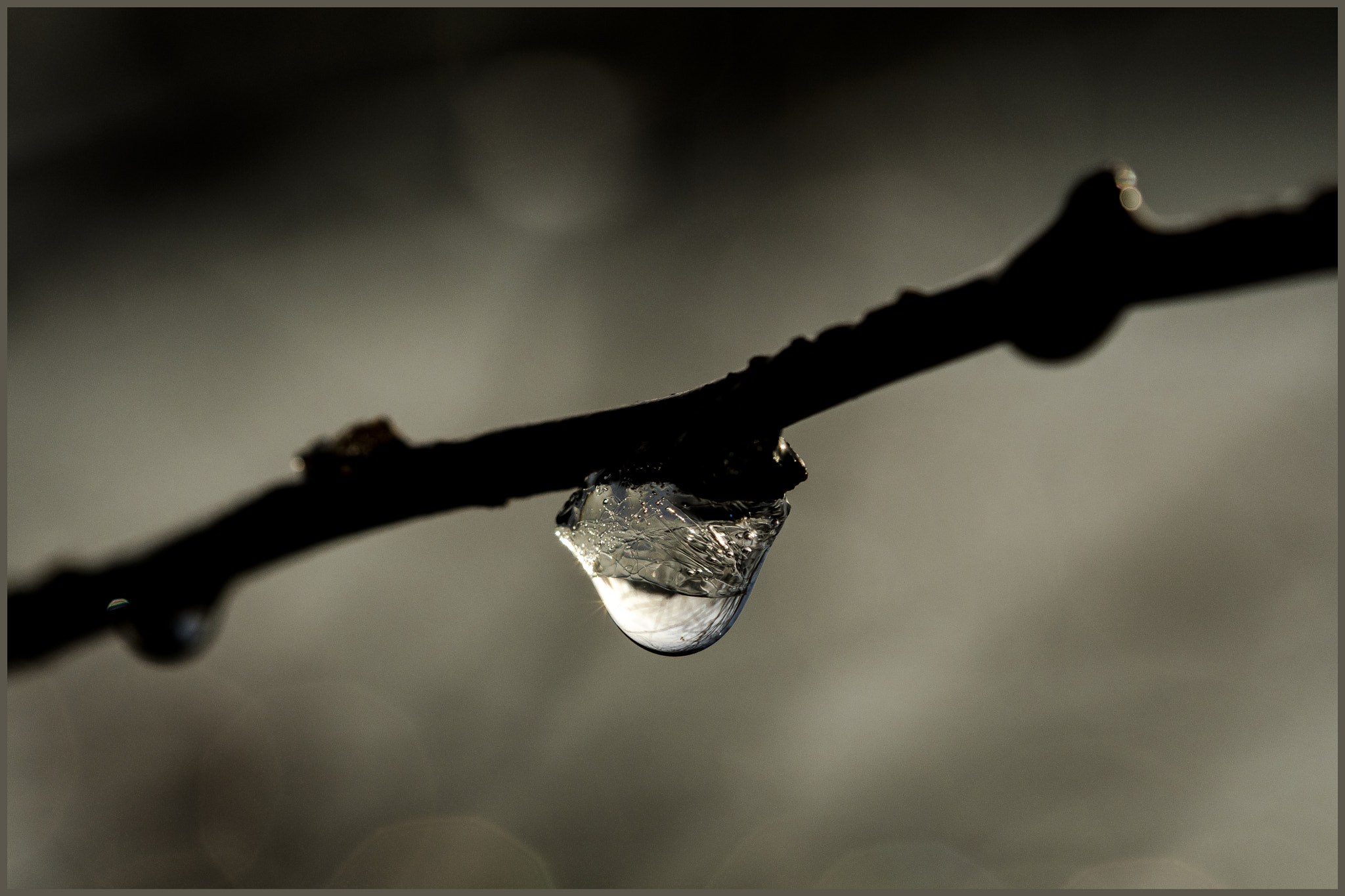 Sigma 105mm F2.8 EX DG OS HSM sample photo. Stil leven , photography