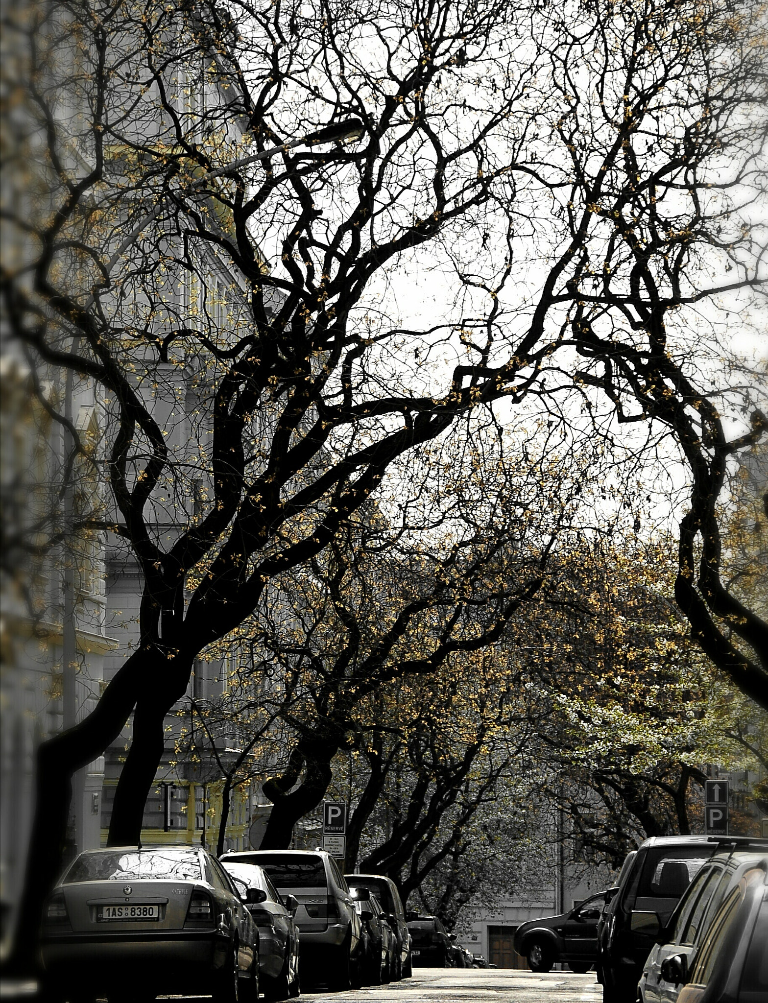 Nikon D50 sample photo. Witches street no... ?  photography